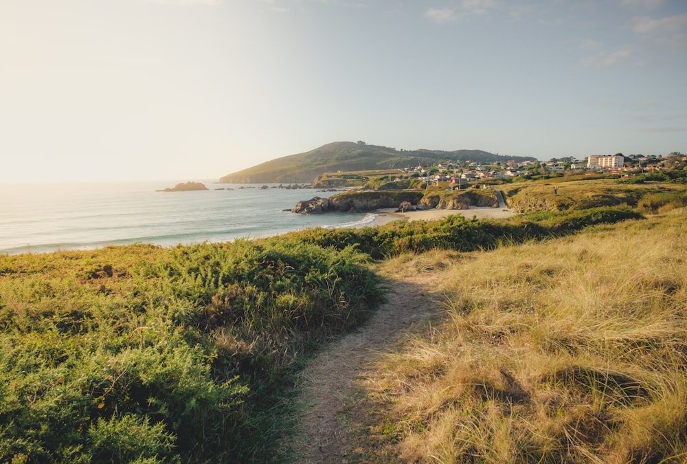 a path leading to a beach with a view of the ocean