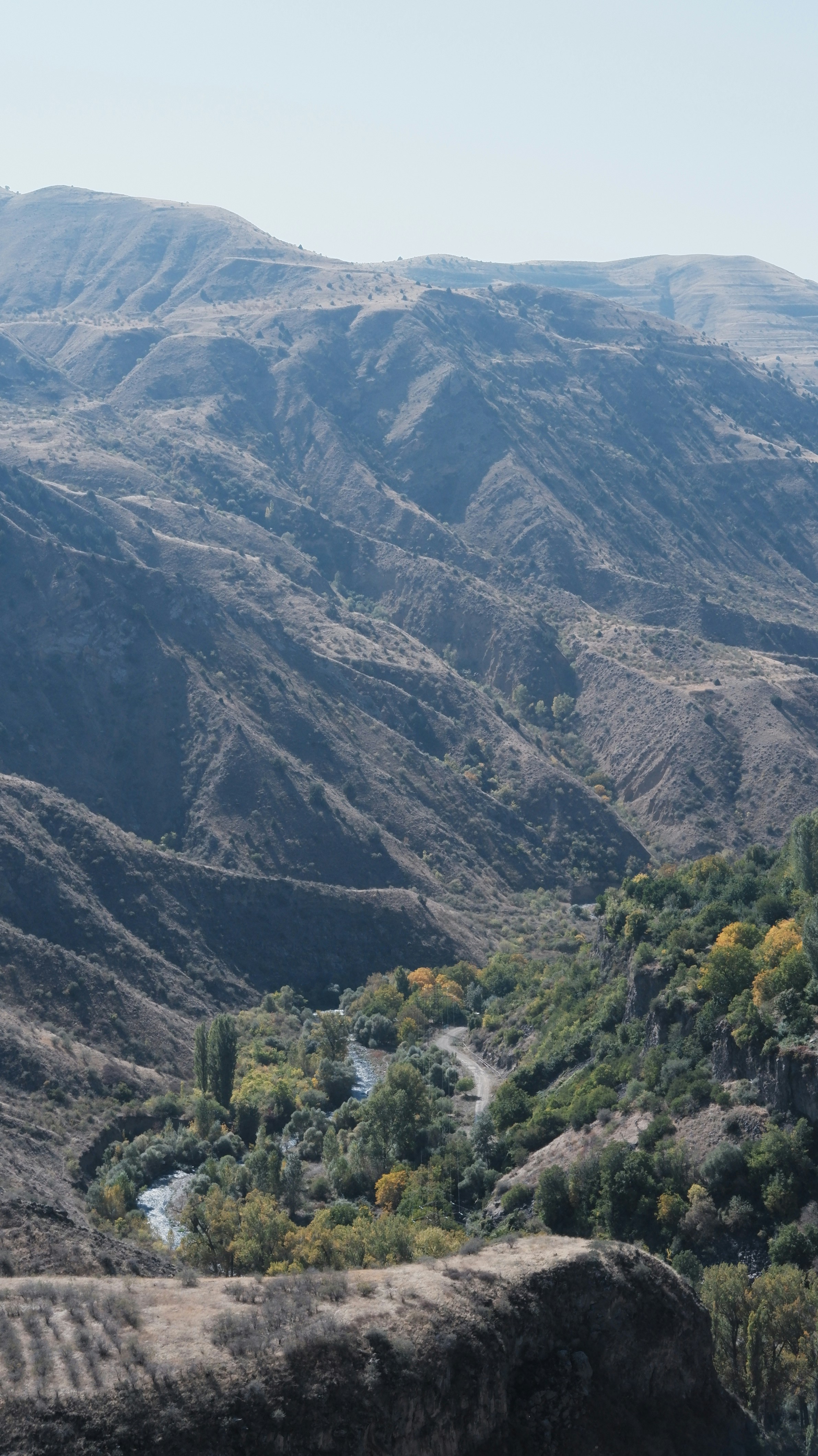 Photo by mary_borysova