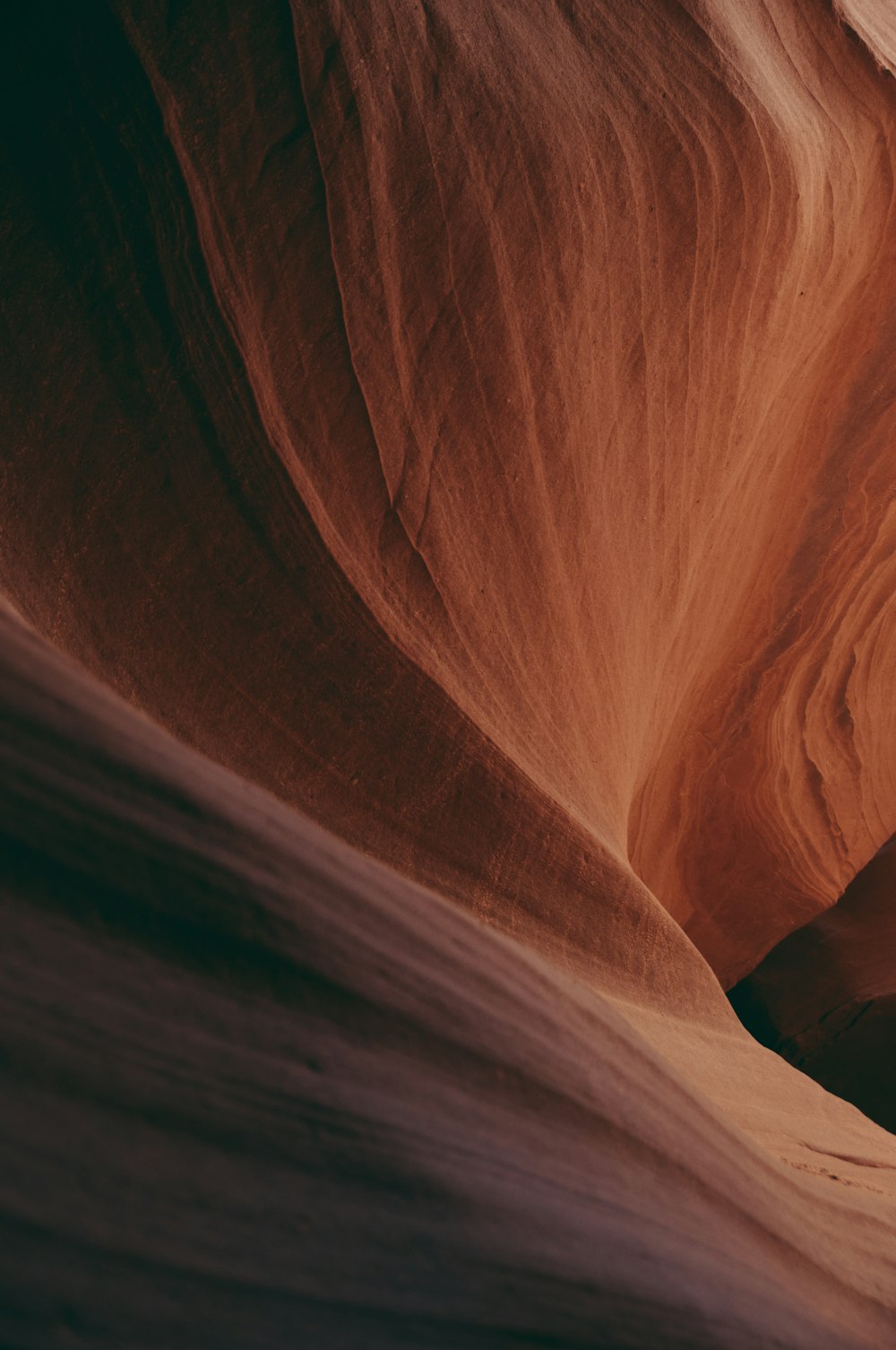 a person standing in the middle of a desert