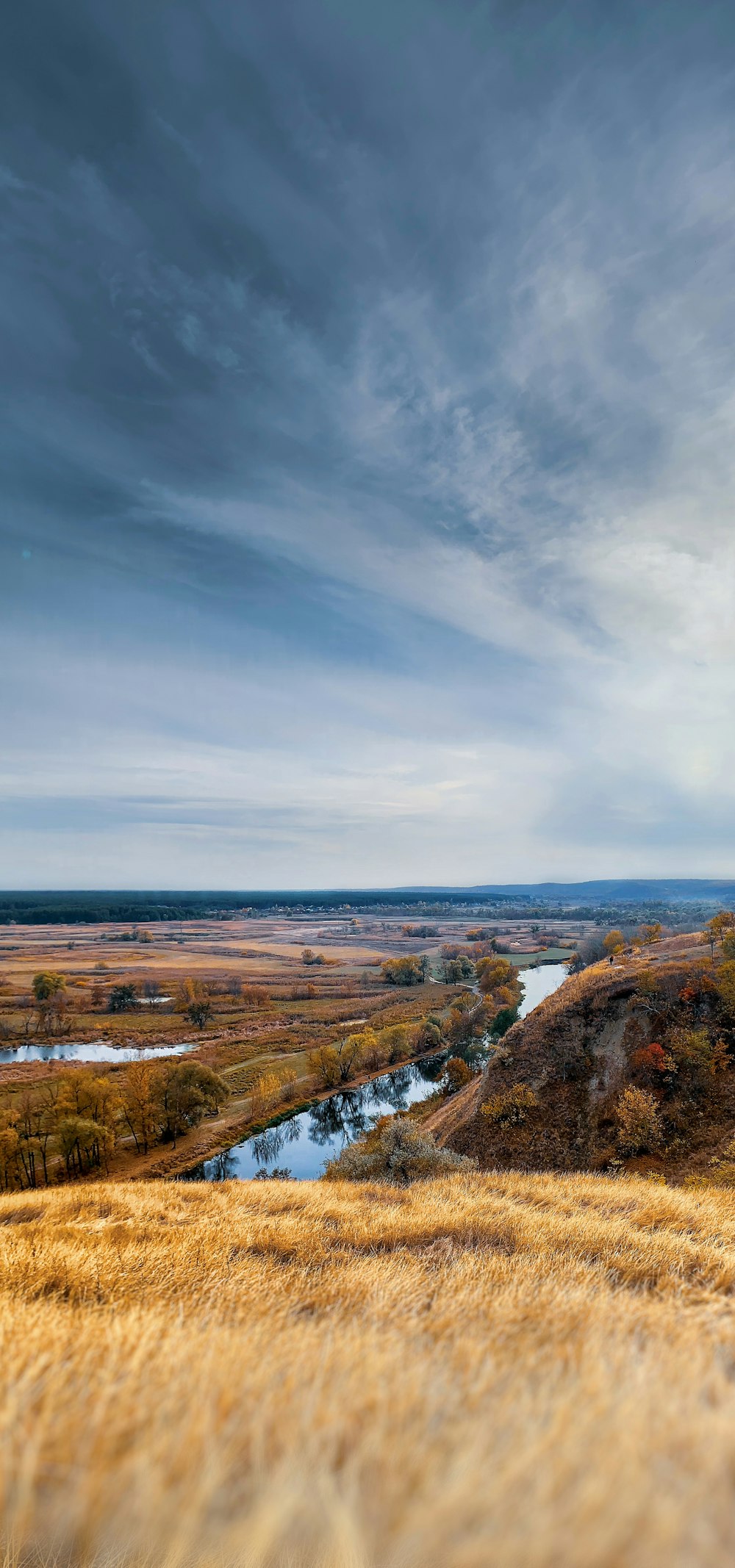 a grassy field with a river running through it