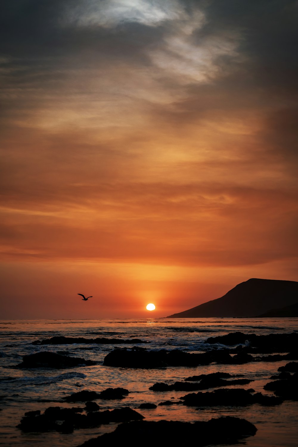 a bird flying over the ocean at sunset