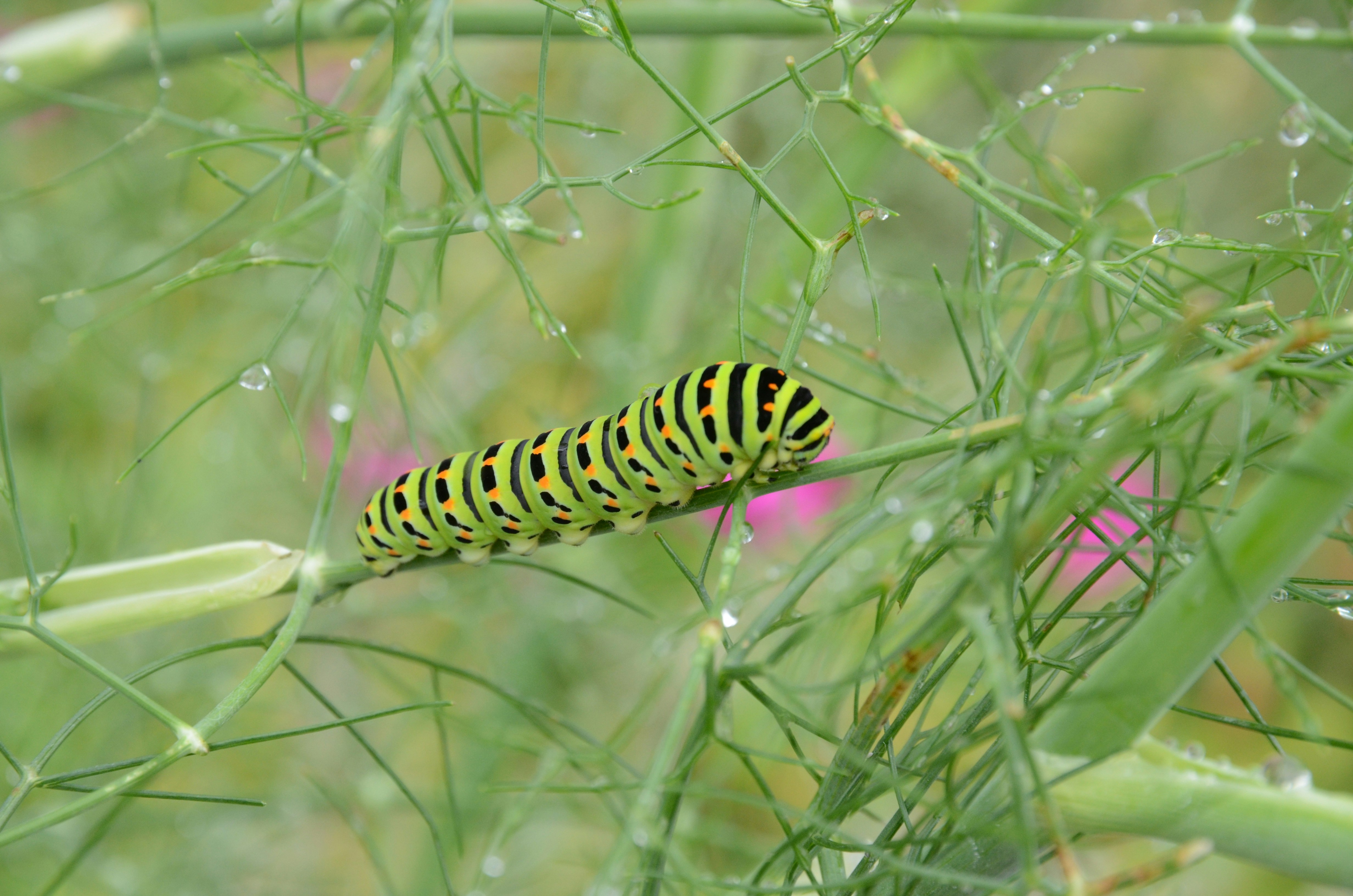 Photo by lamartine55