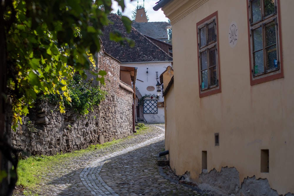 a cobblestone street in a small village
