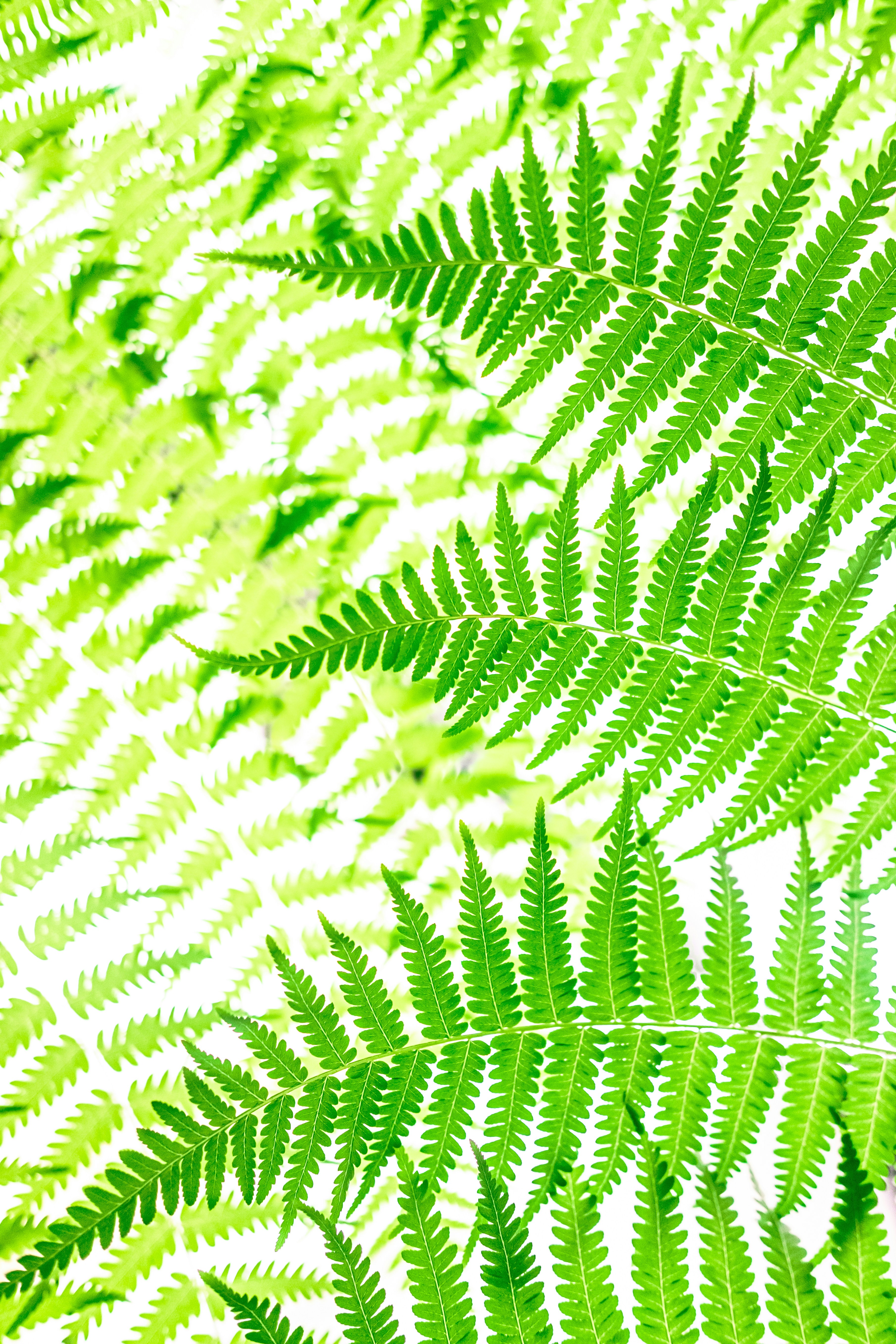 Photo by xiaowuuuuuuu