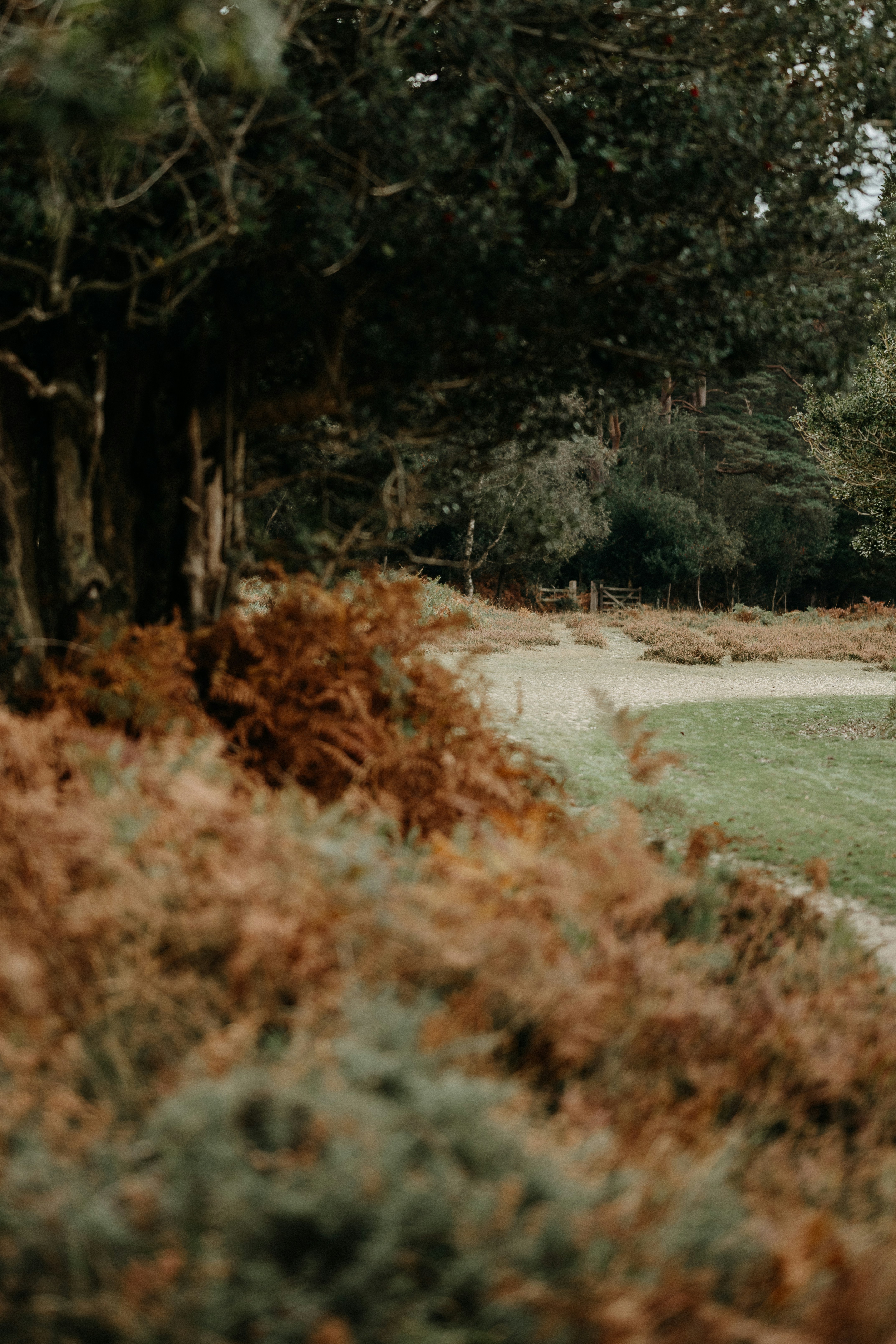 Photo by anniespratt