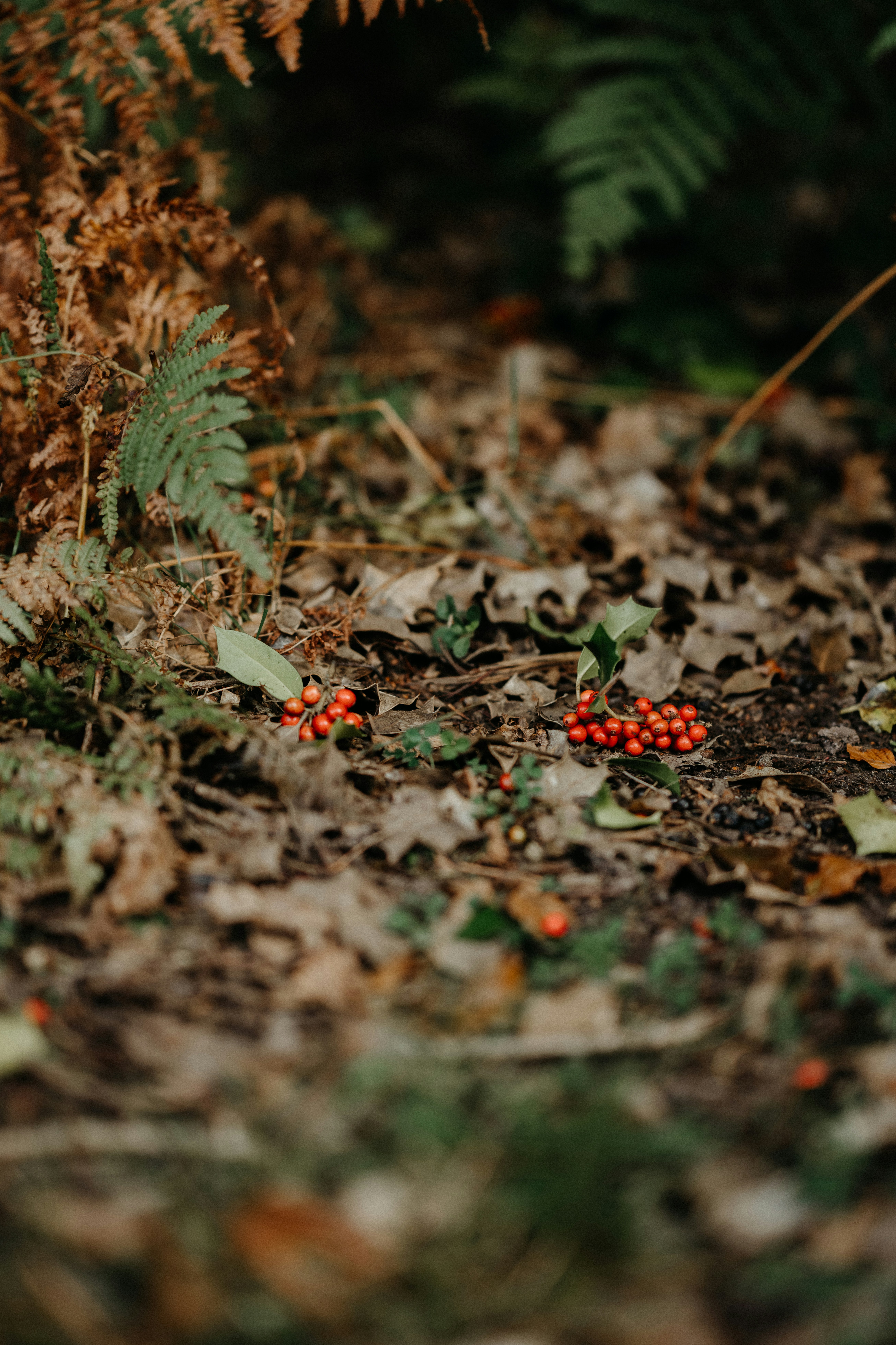 Photo by anniespratt