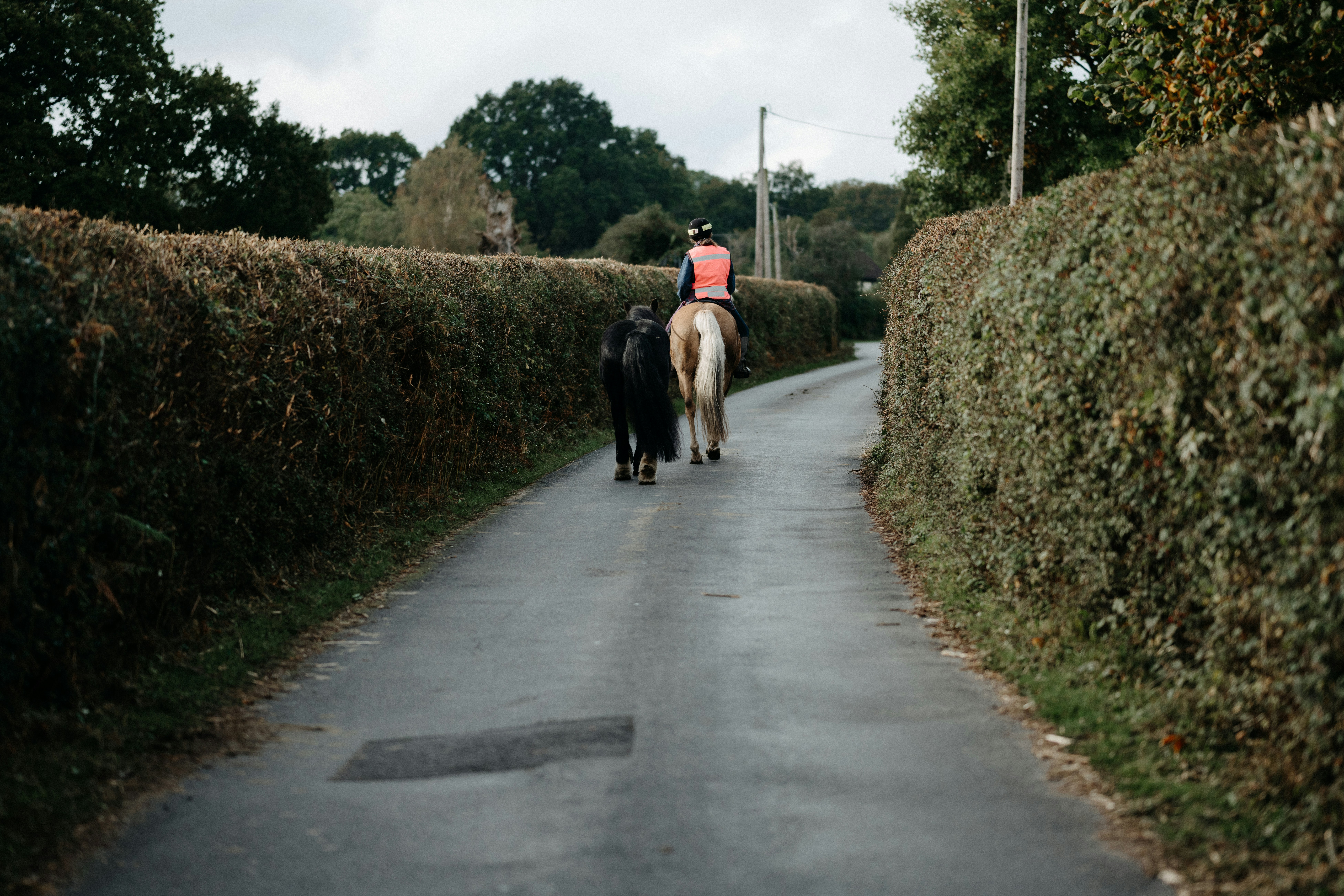 Photo by anniespratt