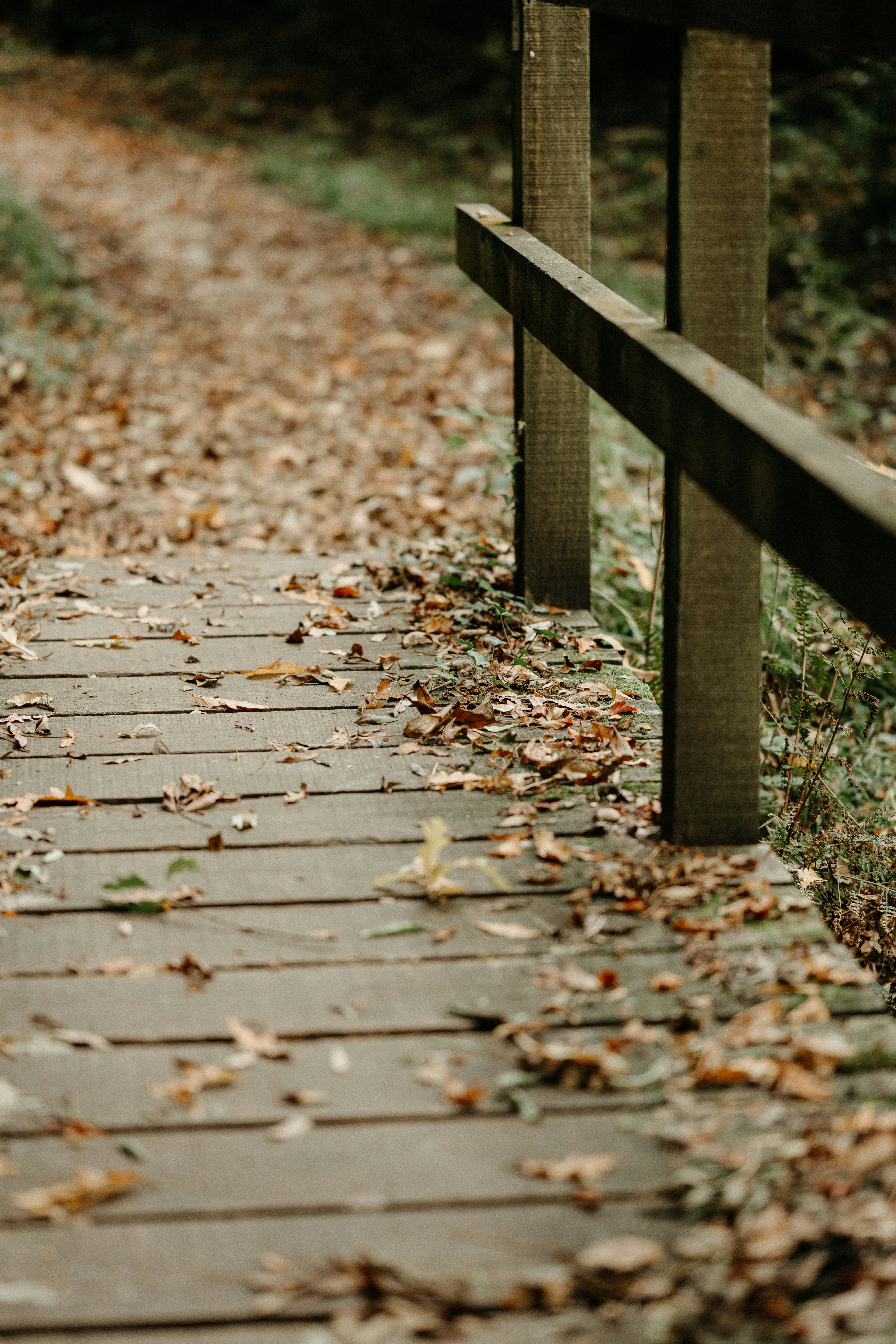 Photo by anniespratt