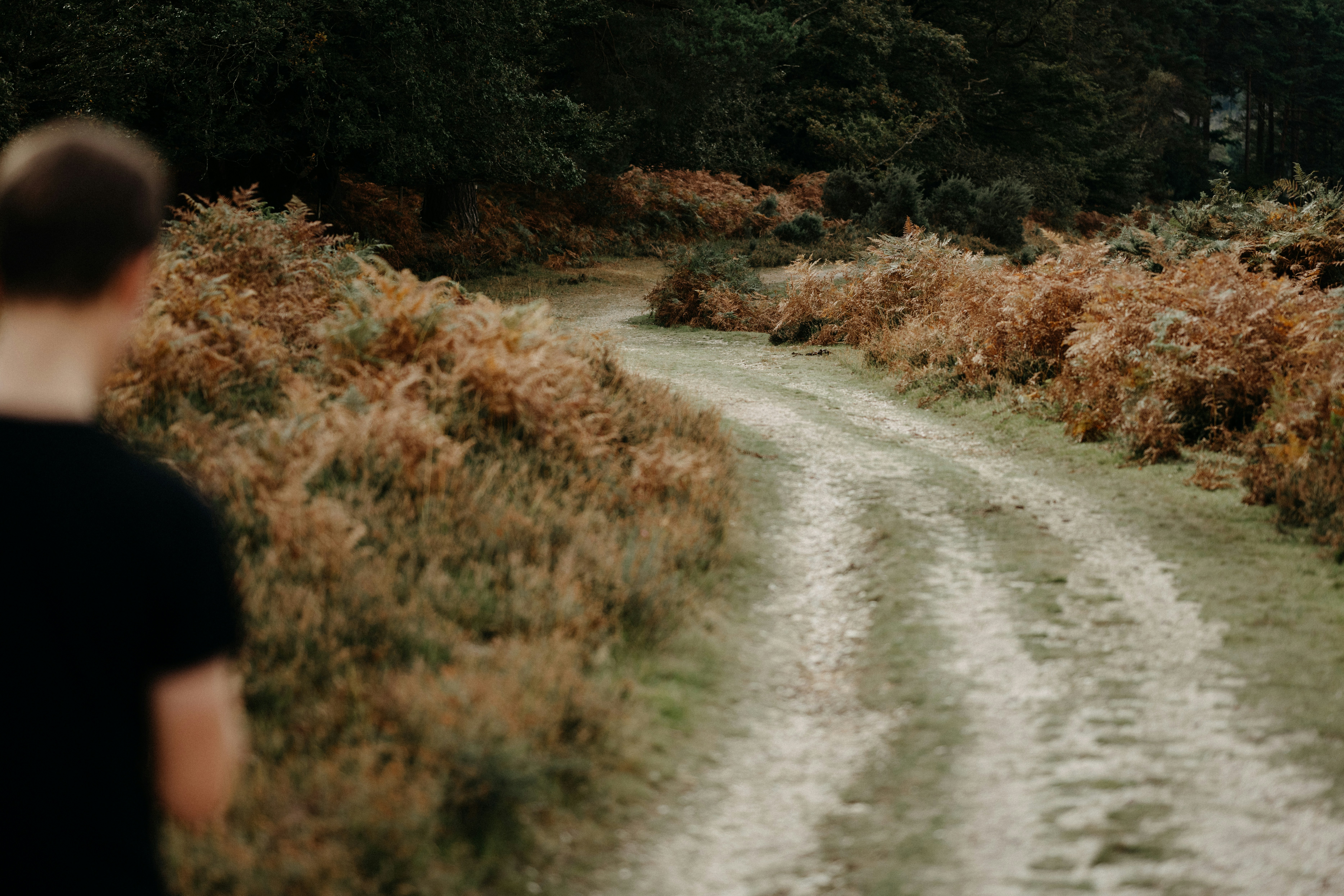 Photo by anniespratt