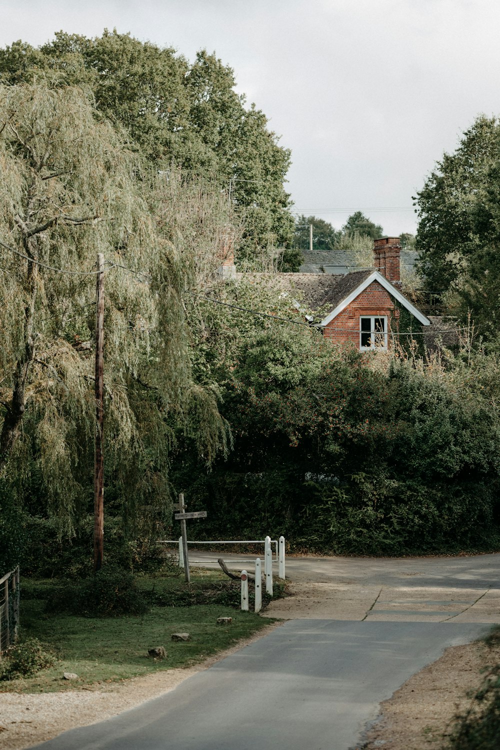 a road with a house in the background and a tree in the foreground