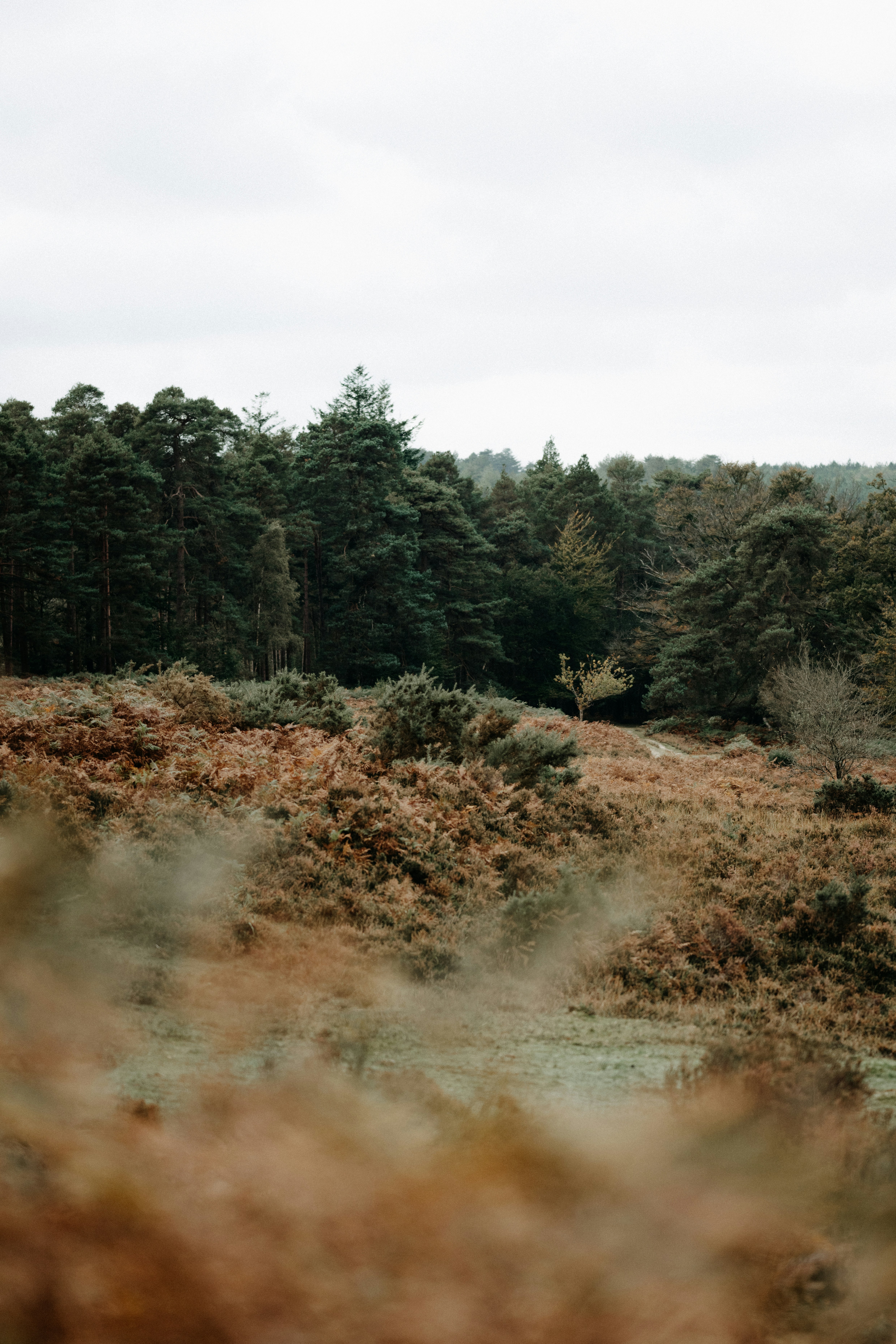 Photo by anniespratt