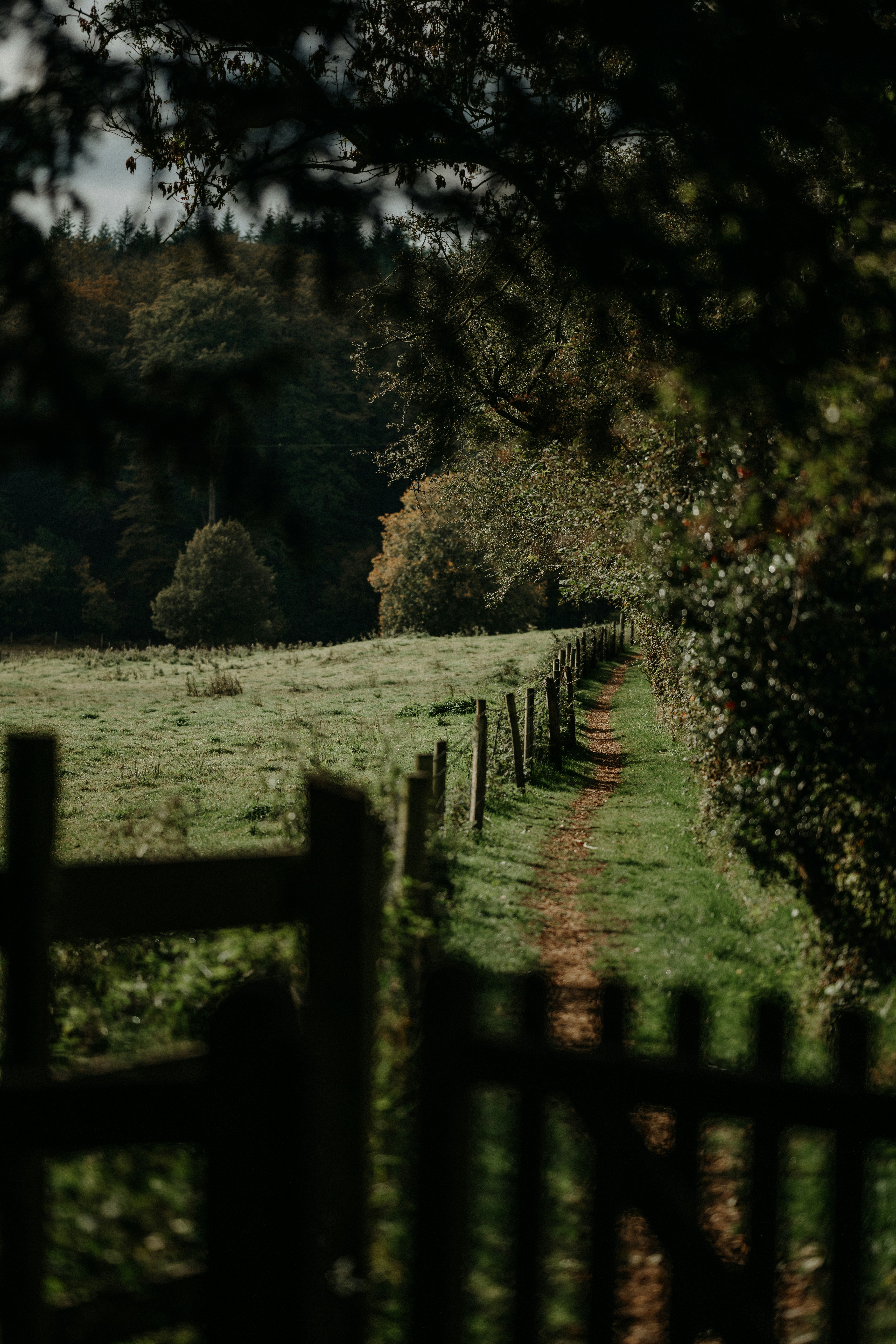 Photo by anniespratt