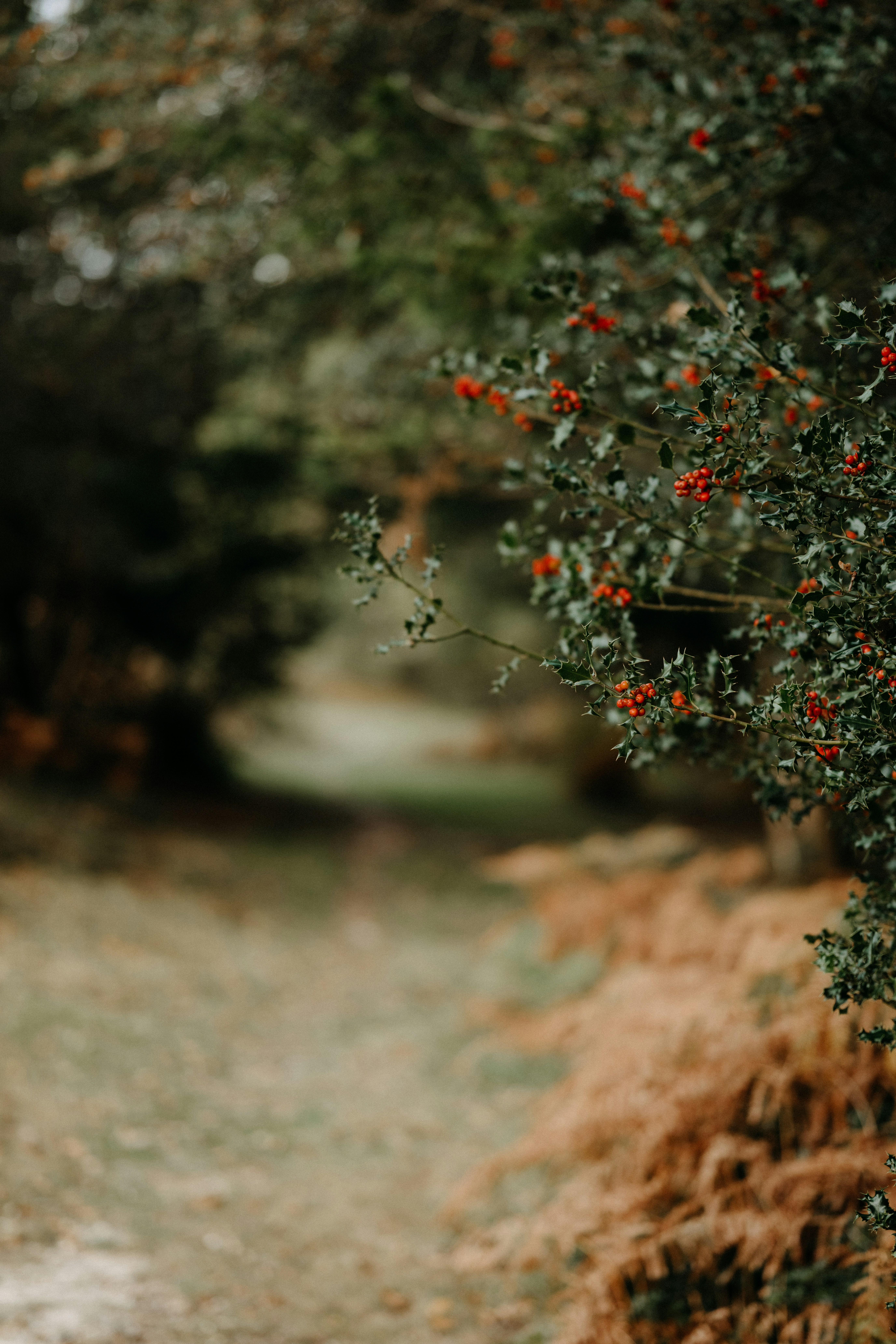 Photo by anniespratt