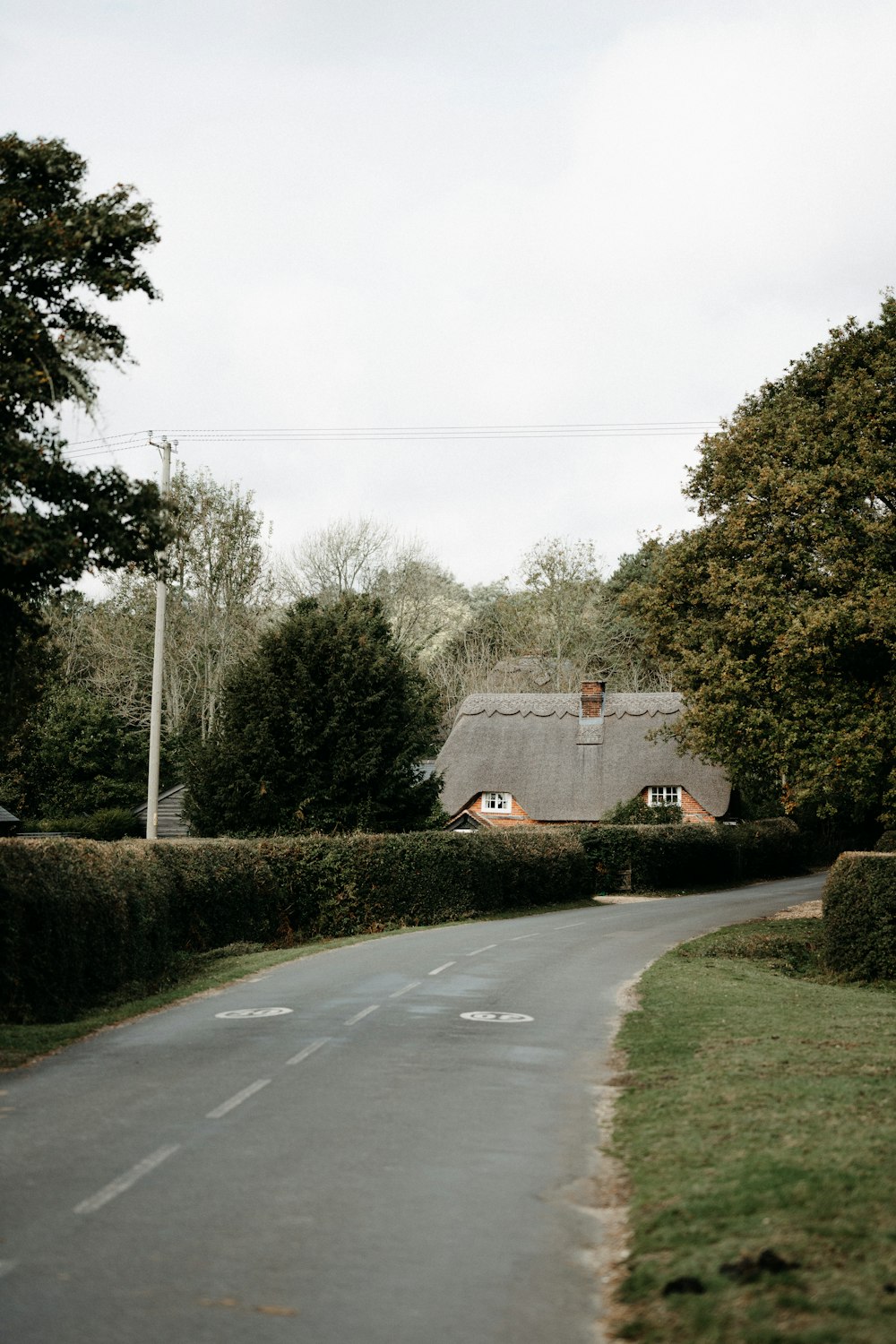 a rural road with a thatched roof house in the background