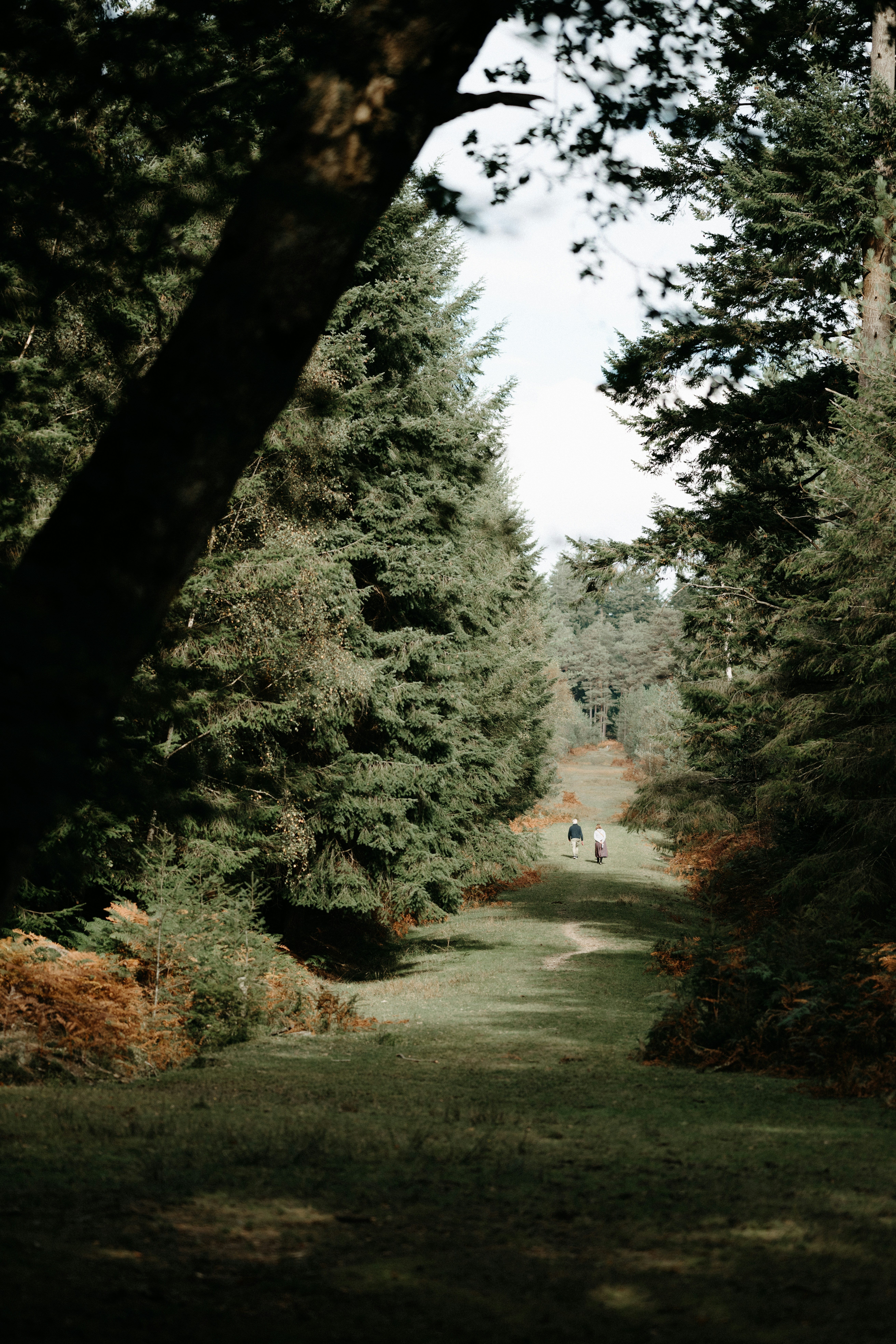 Photo by anniespratt