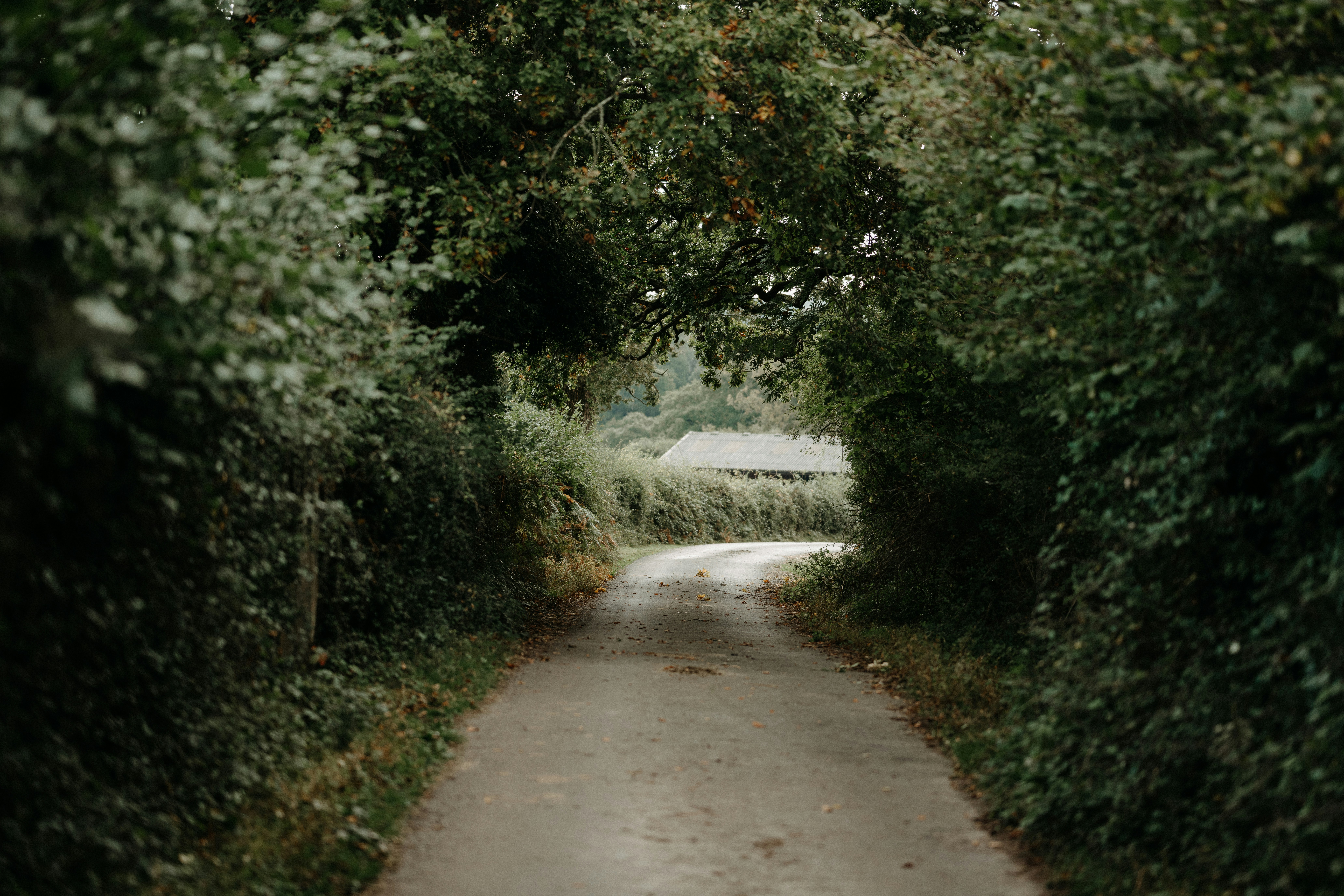 Photo by anniespratt