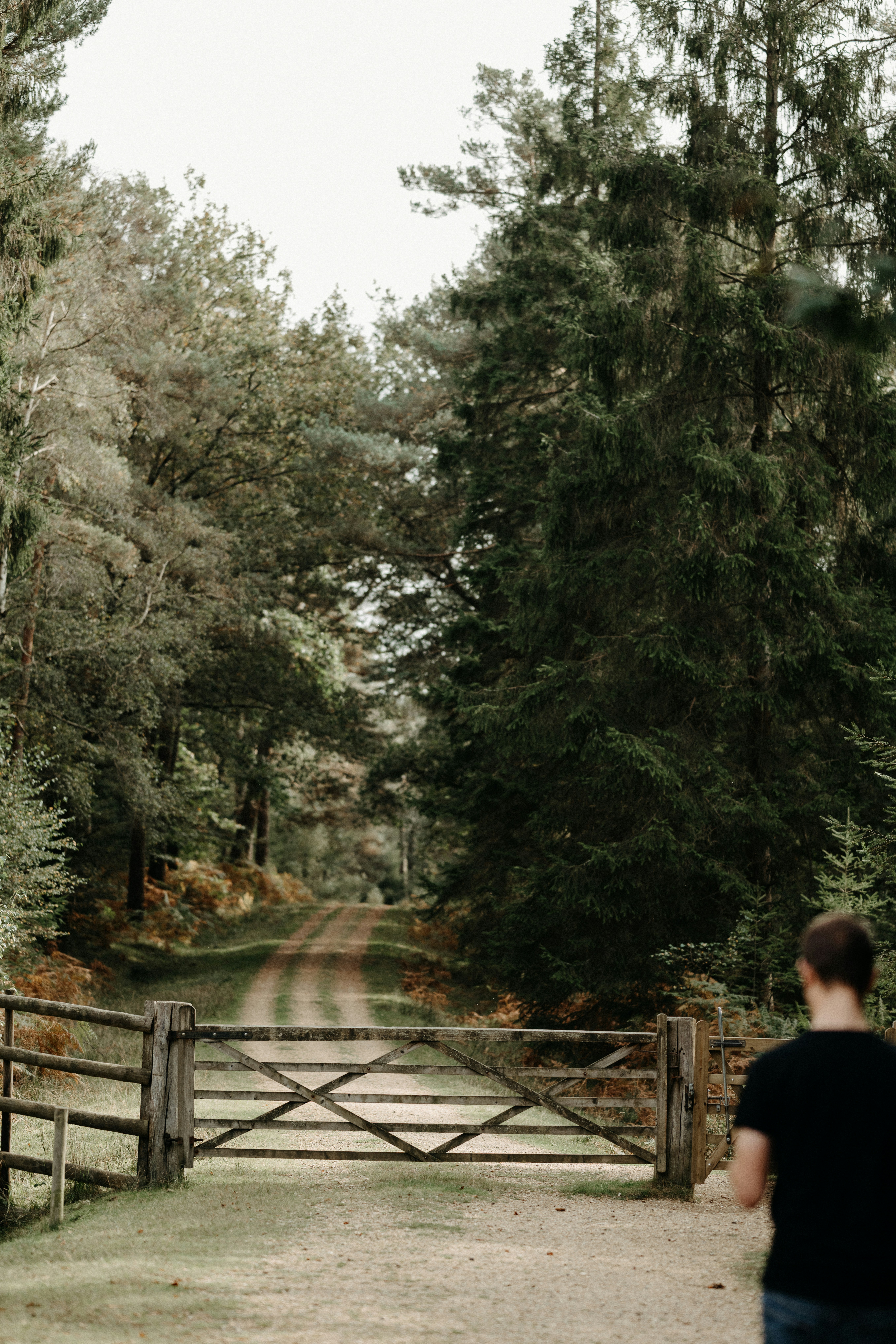 Photo by anniespratt