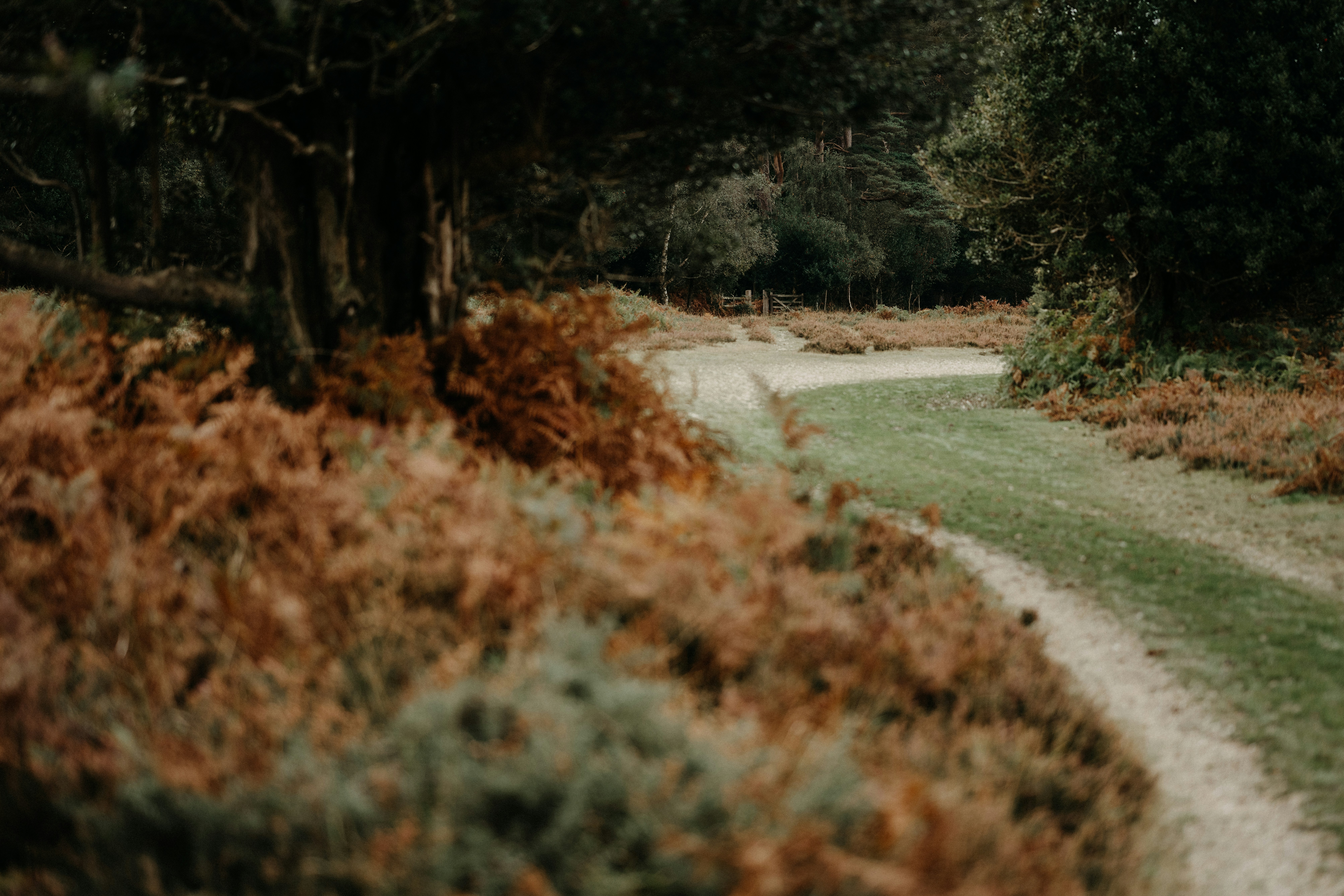 Photo by anniespratt