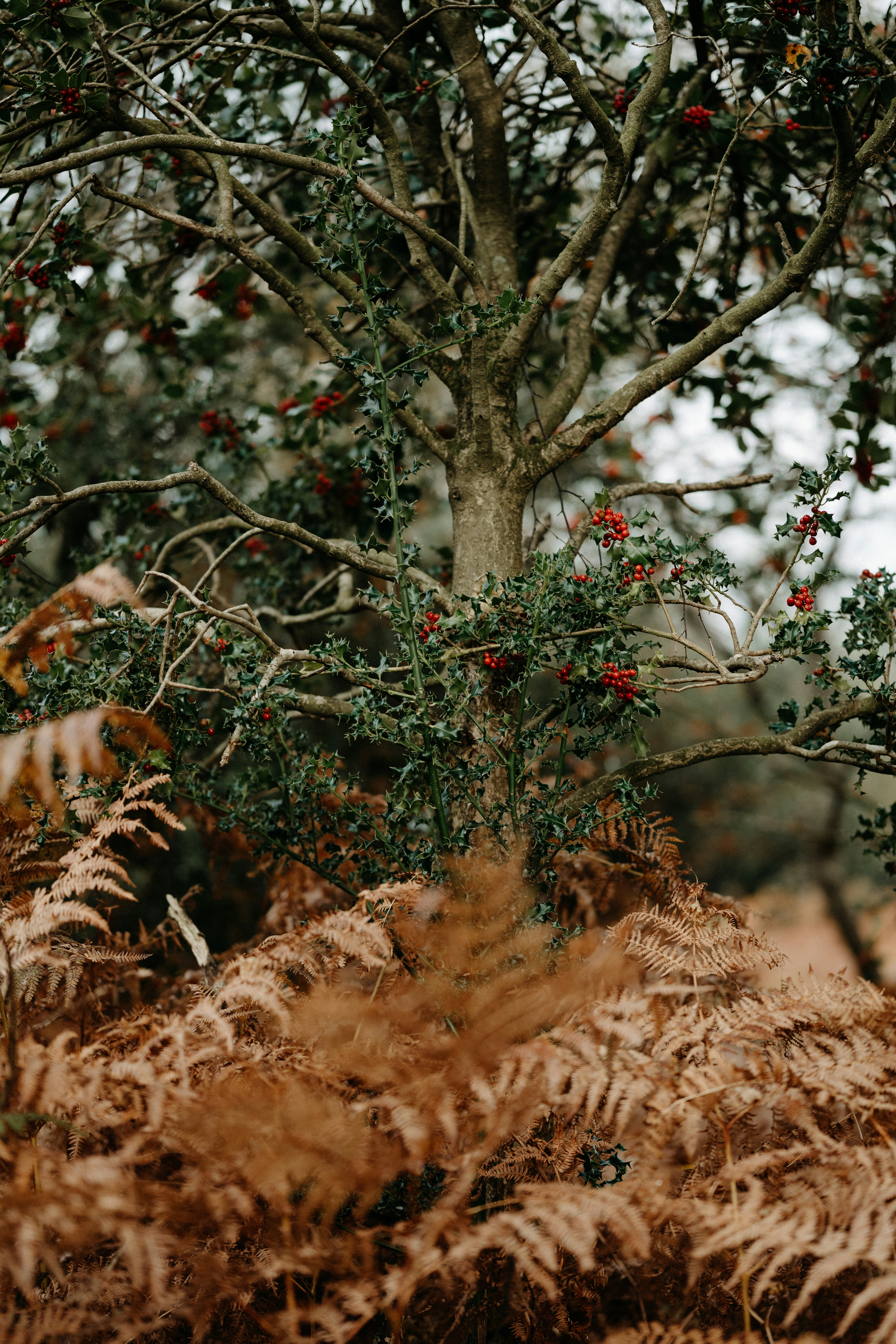 Photo by anniespratt