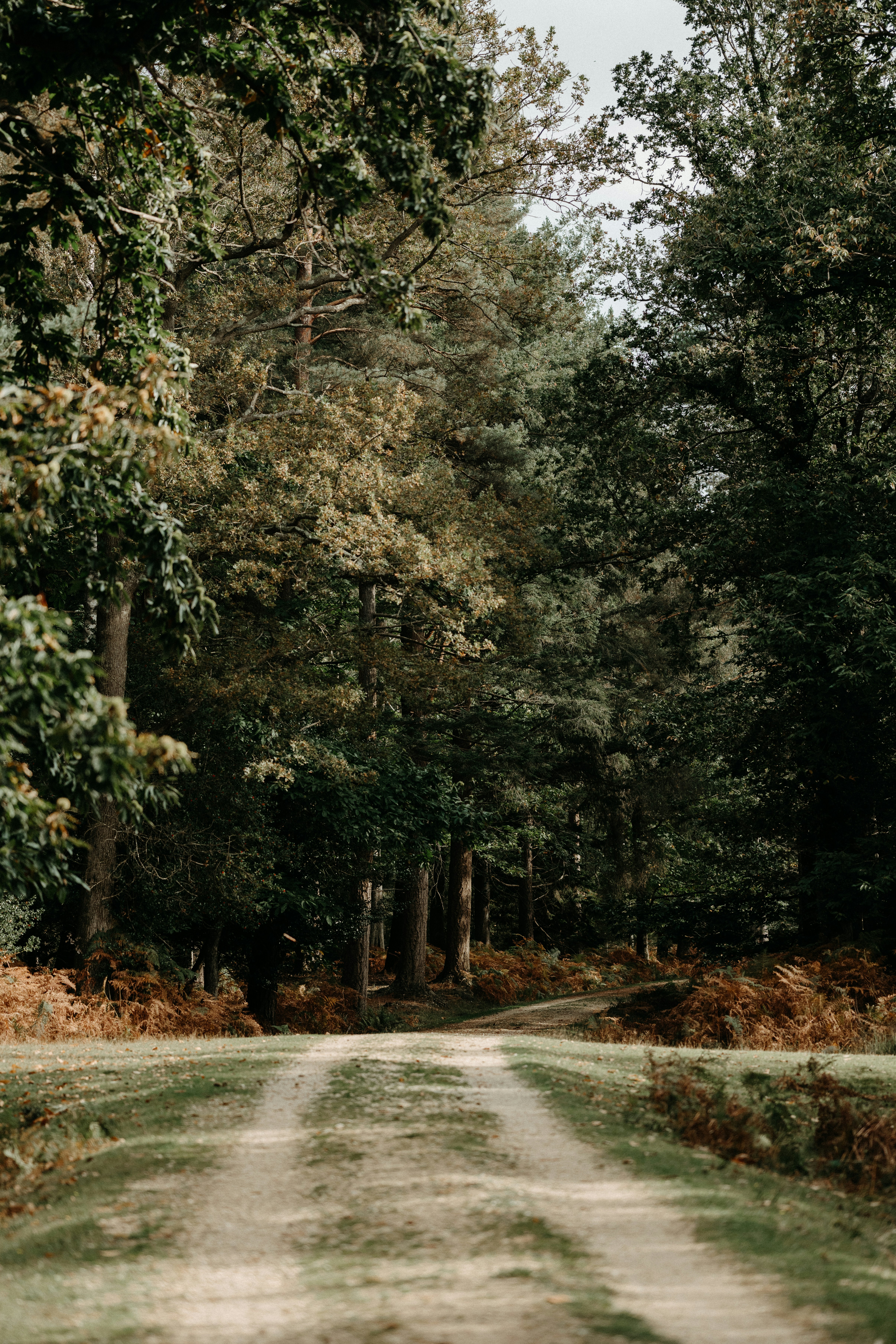 Photo by anniespratt