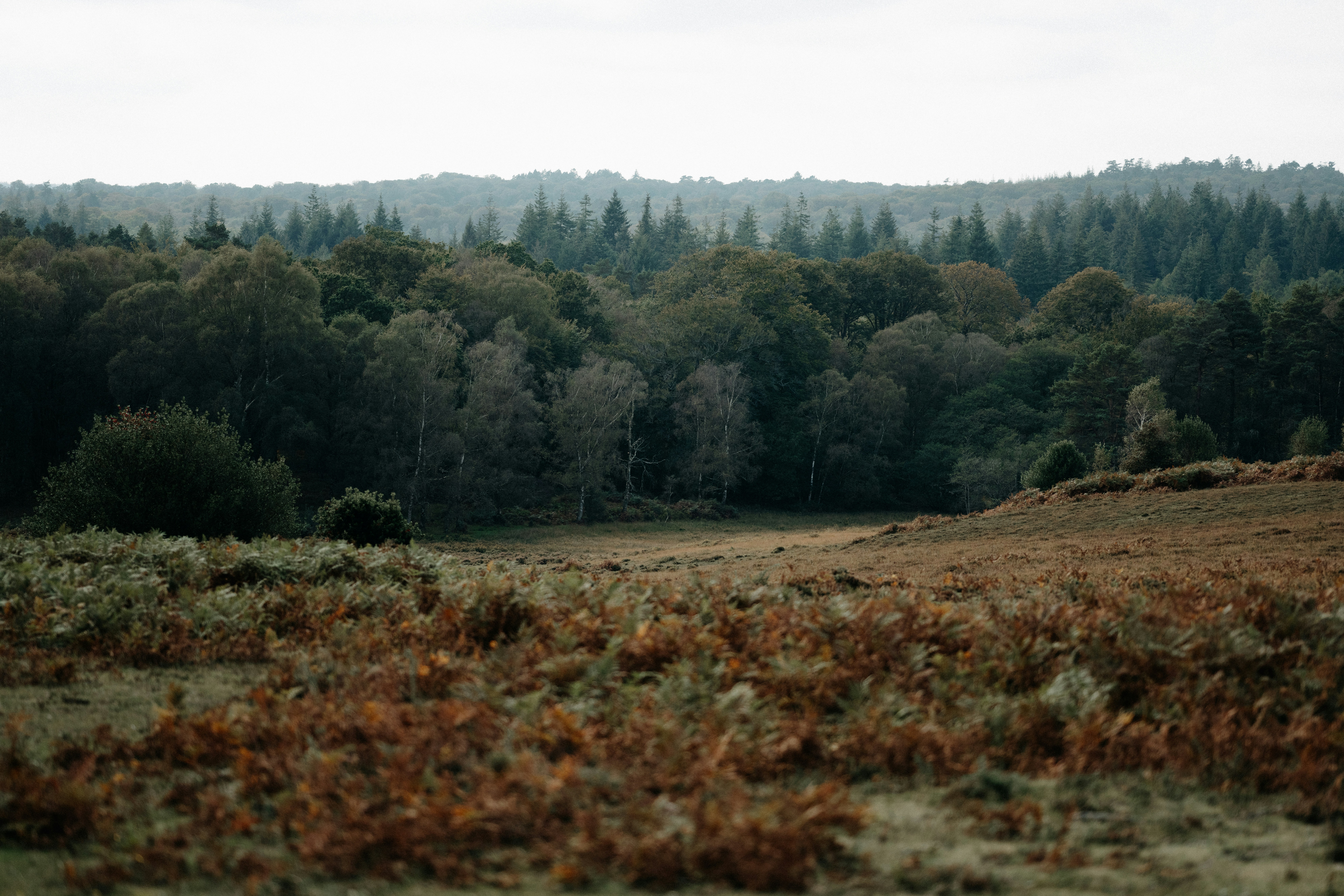 Photo by anniespratt