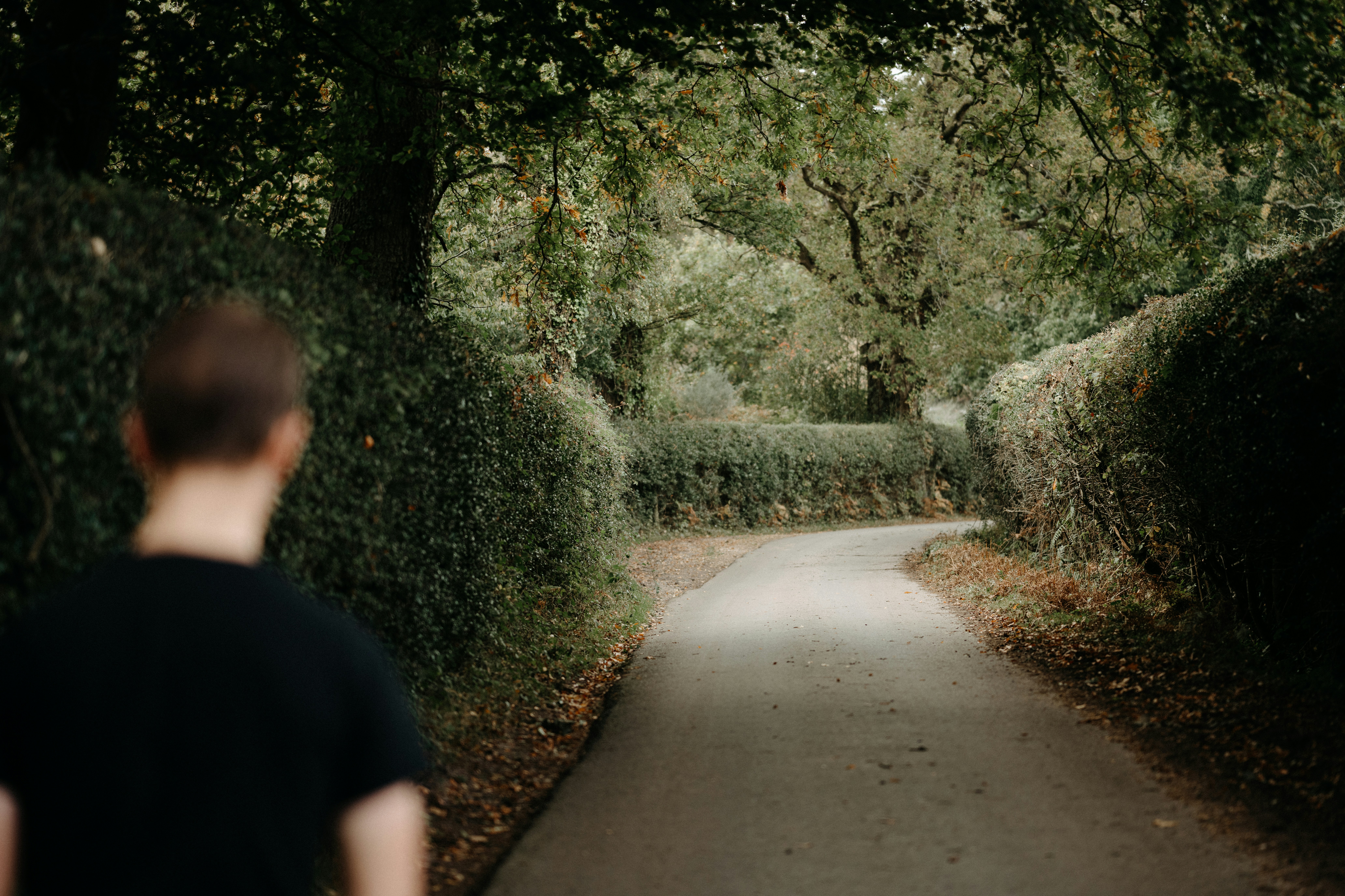 Photo by anniespratt