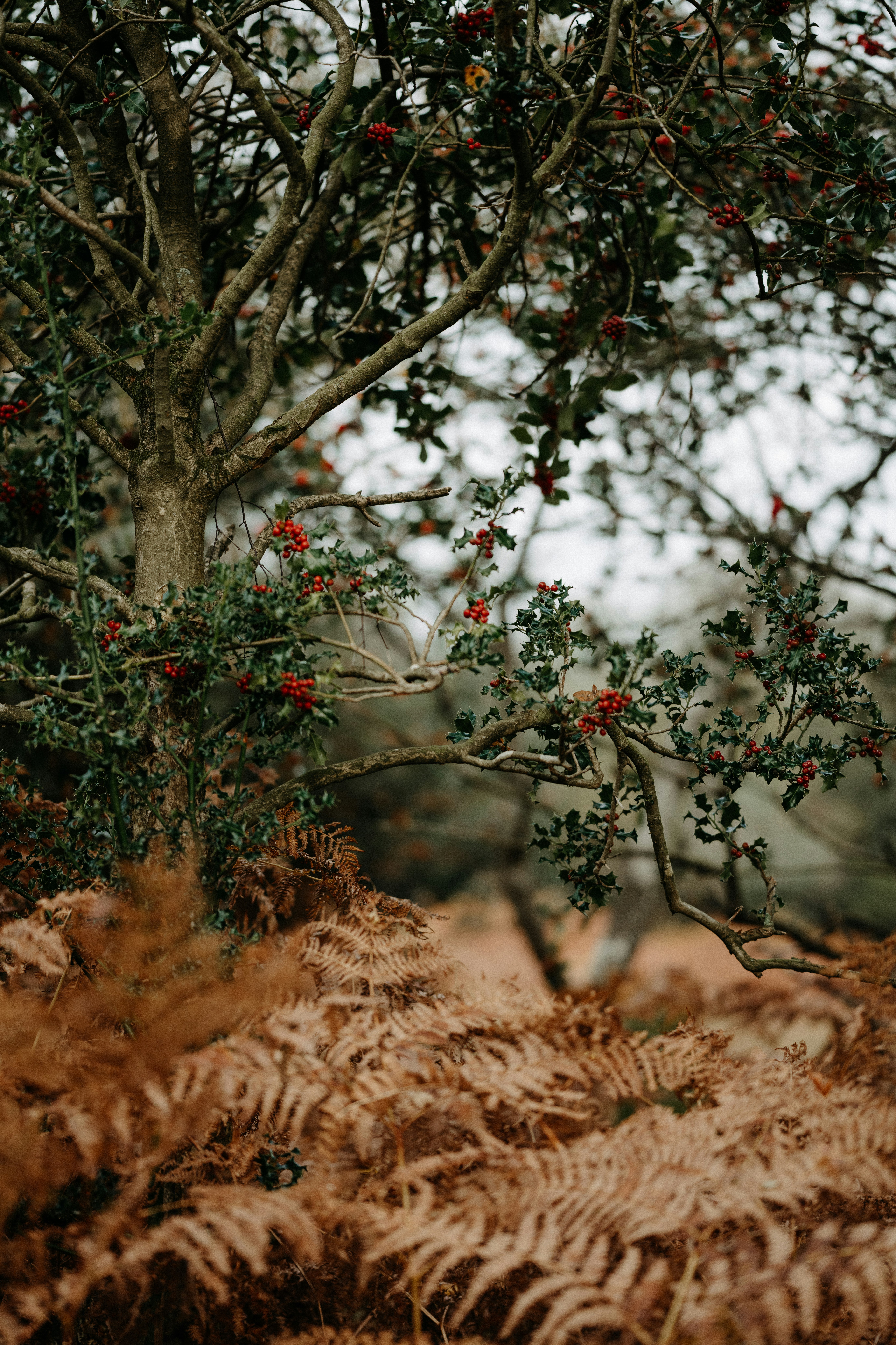 Photo by anniespratt