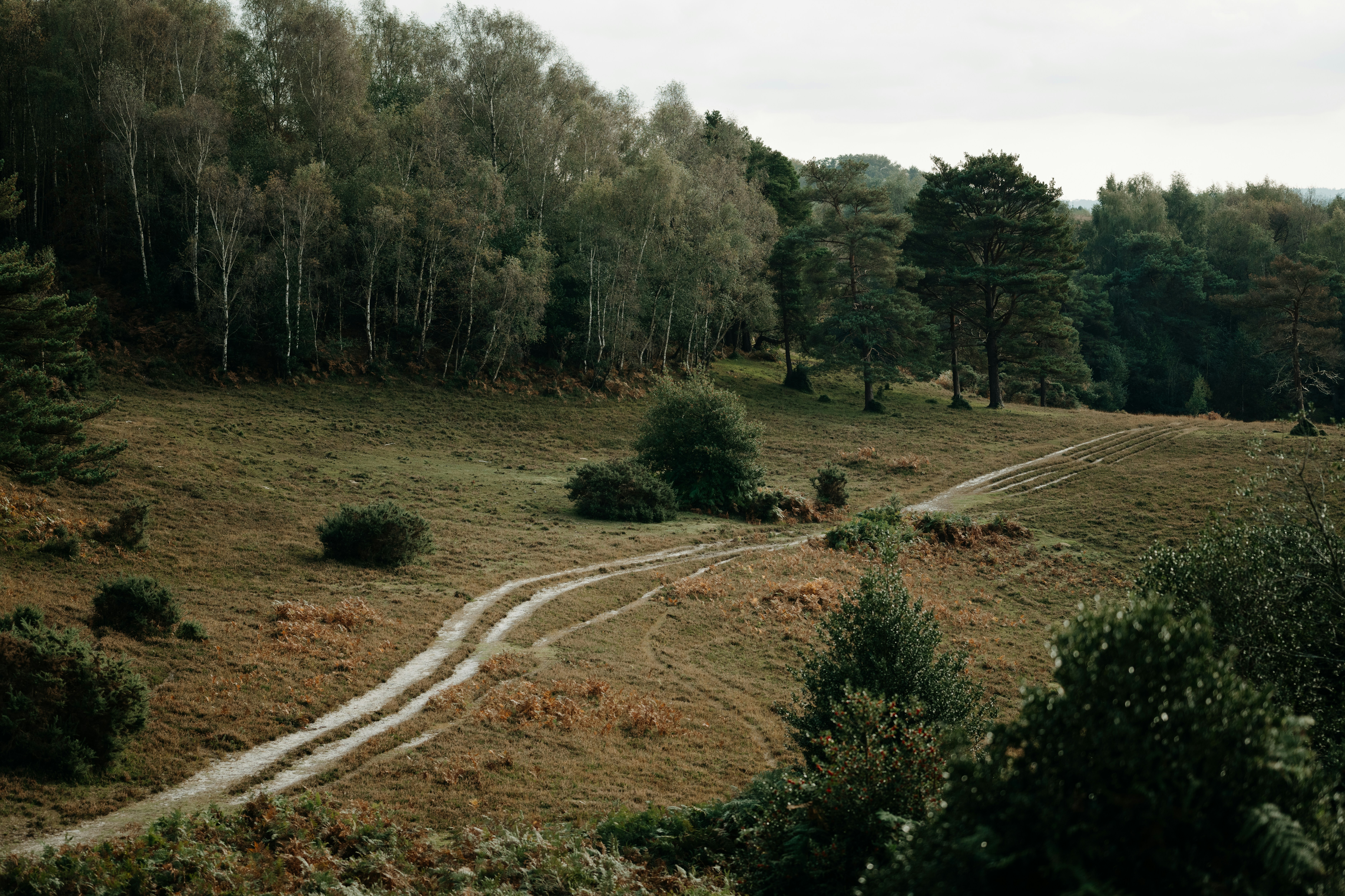 Photo by anniespratt