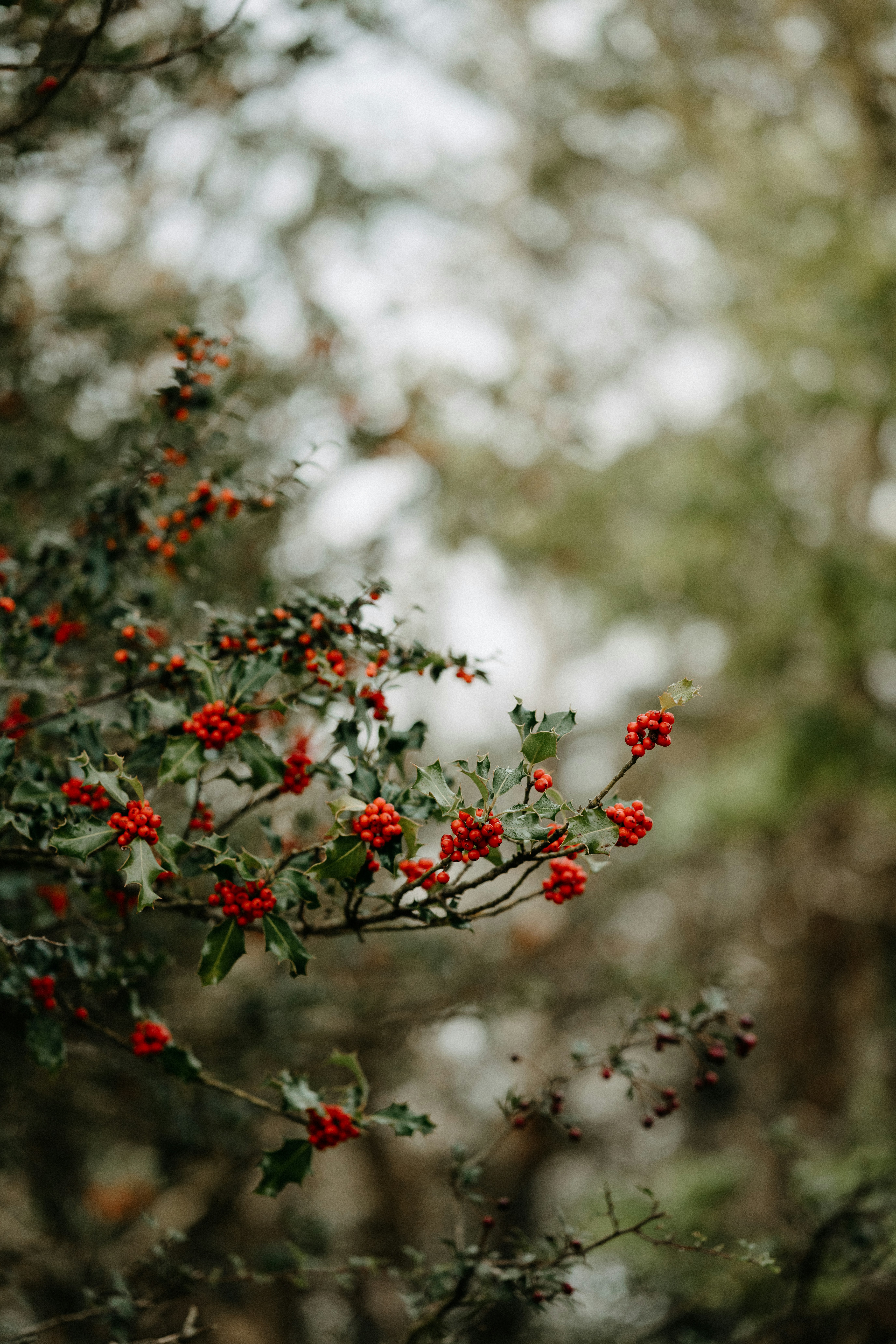 Photo by anniespratt