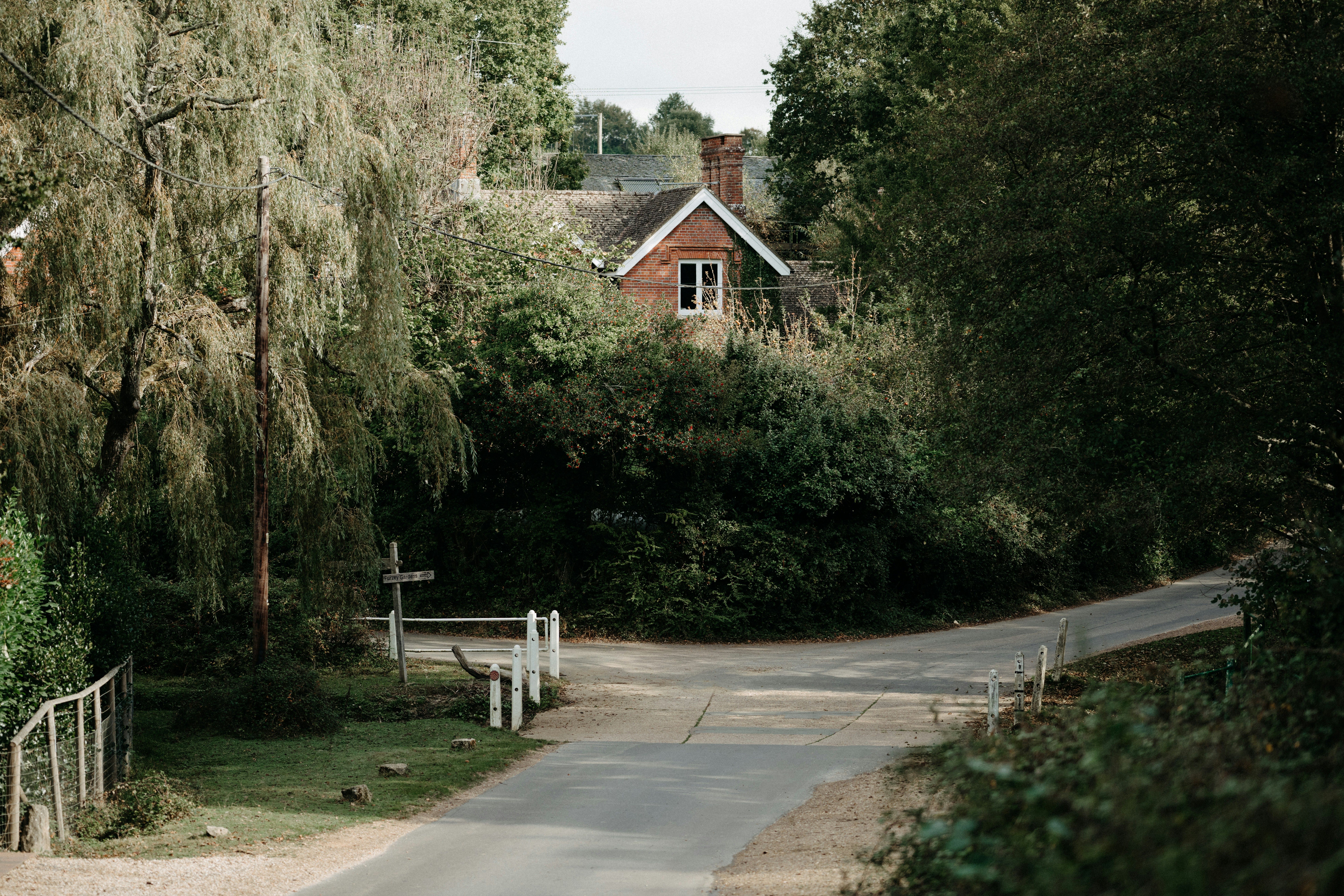 Photo by anniespratt