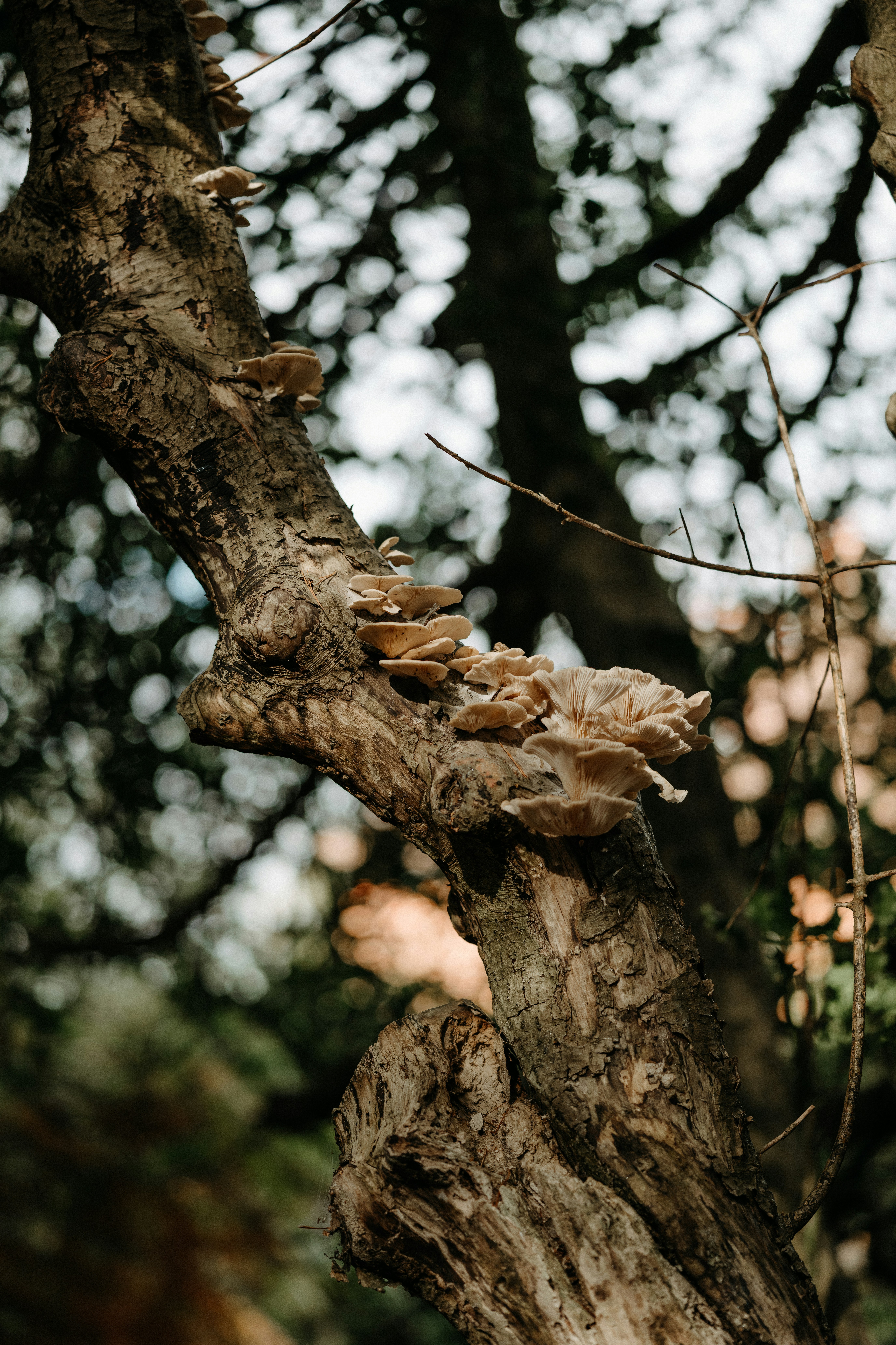 Photo by anniespratt