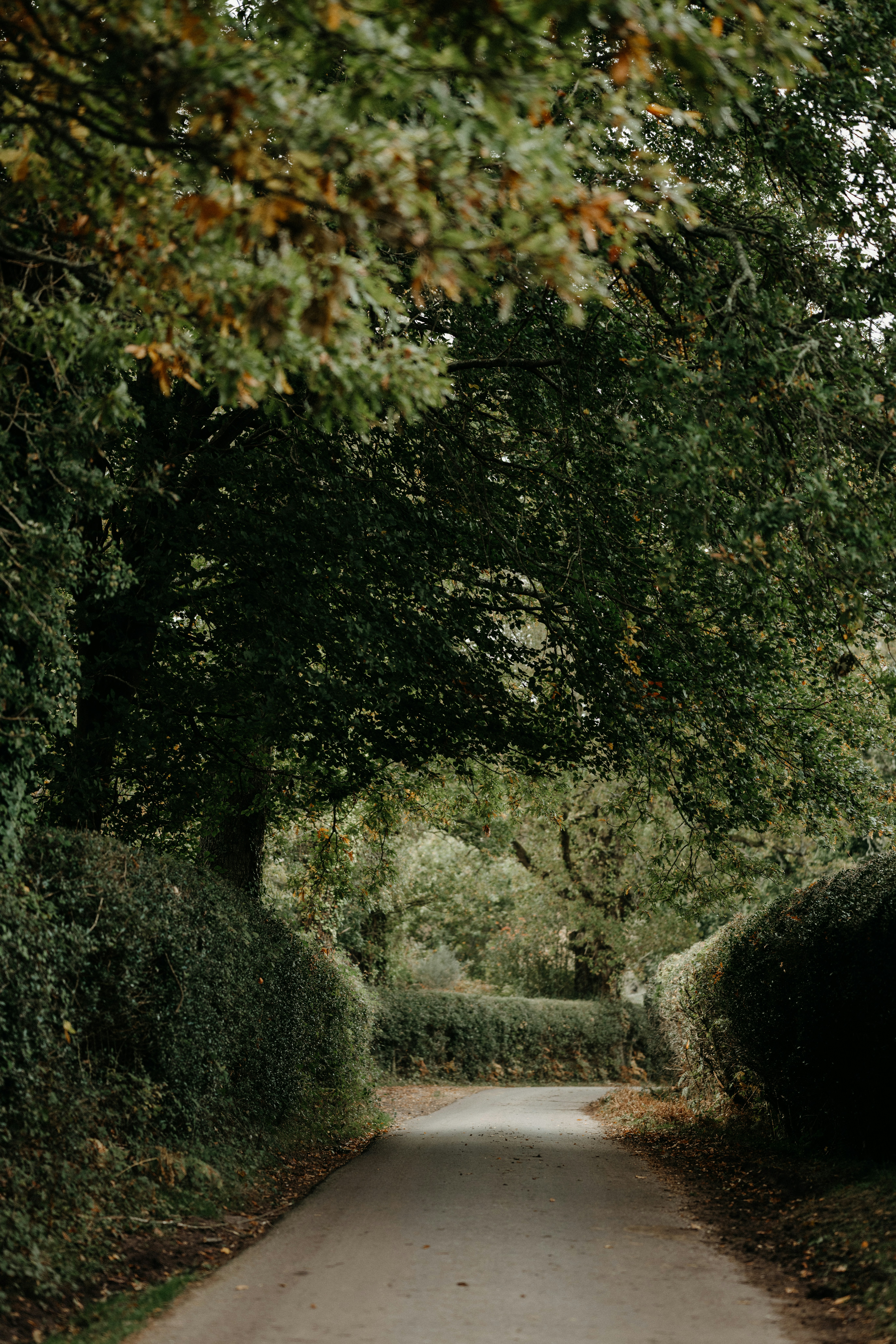 Photo by anniespratt