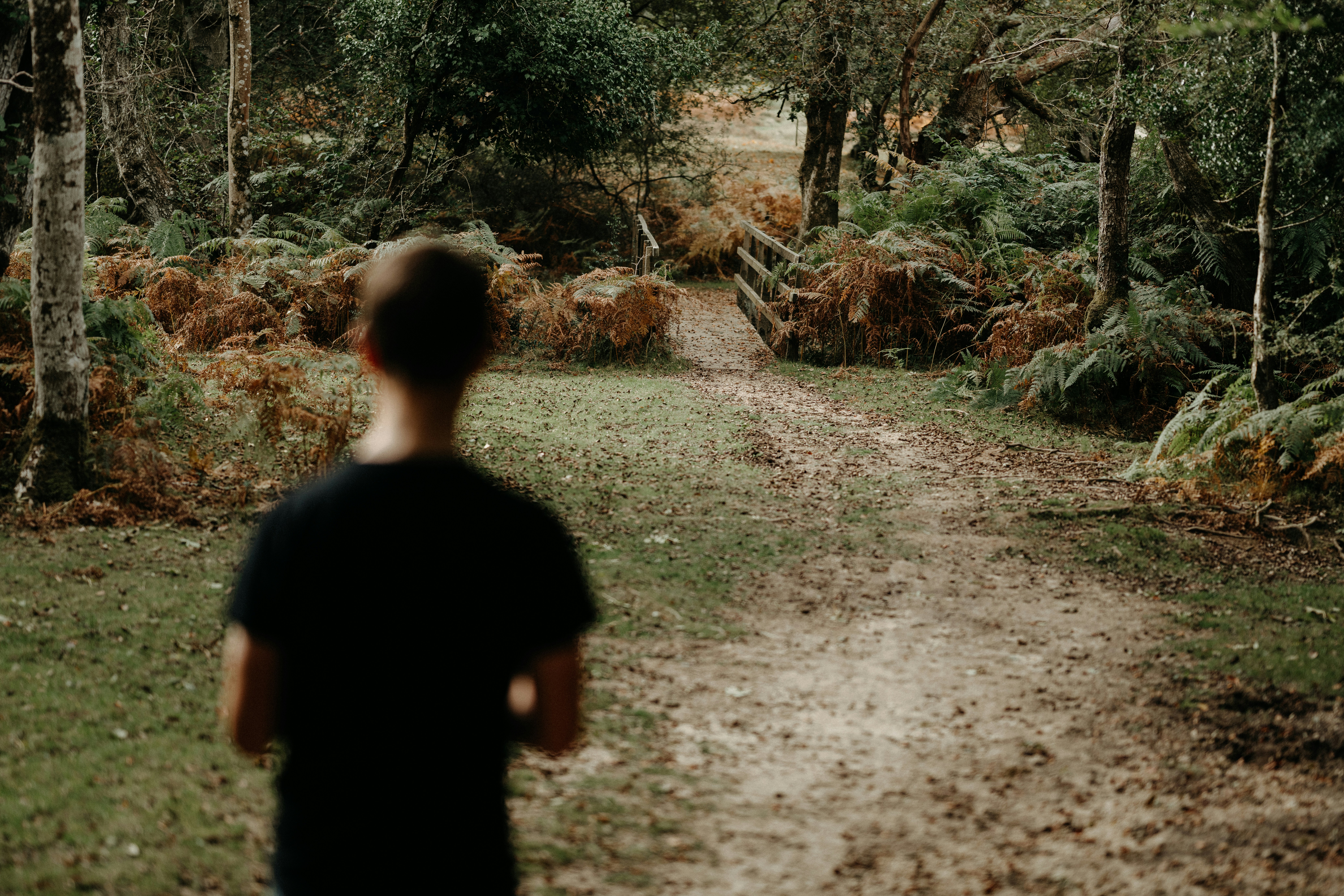 Photo by anniespratt