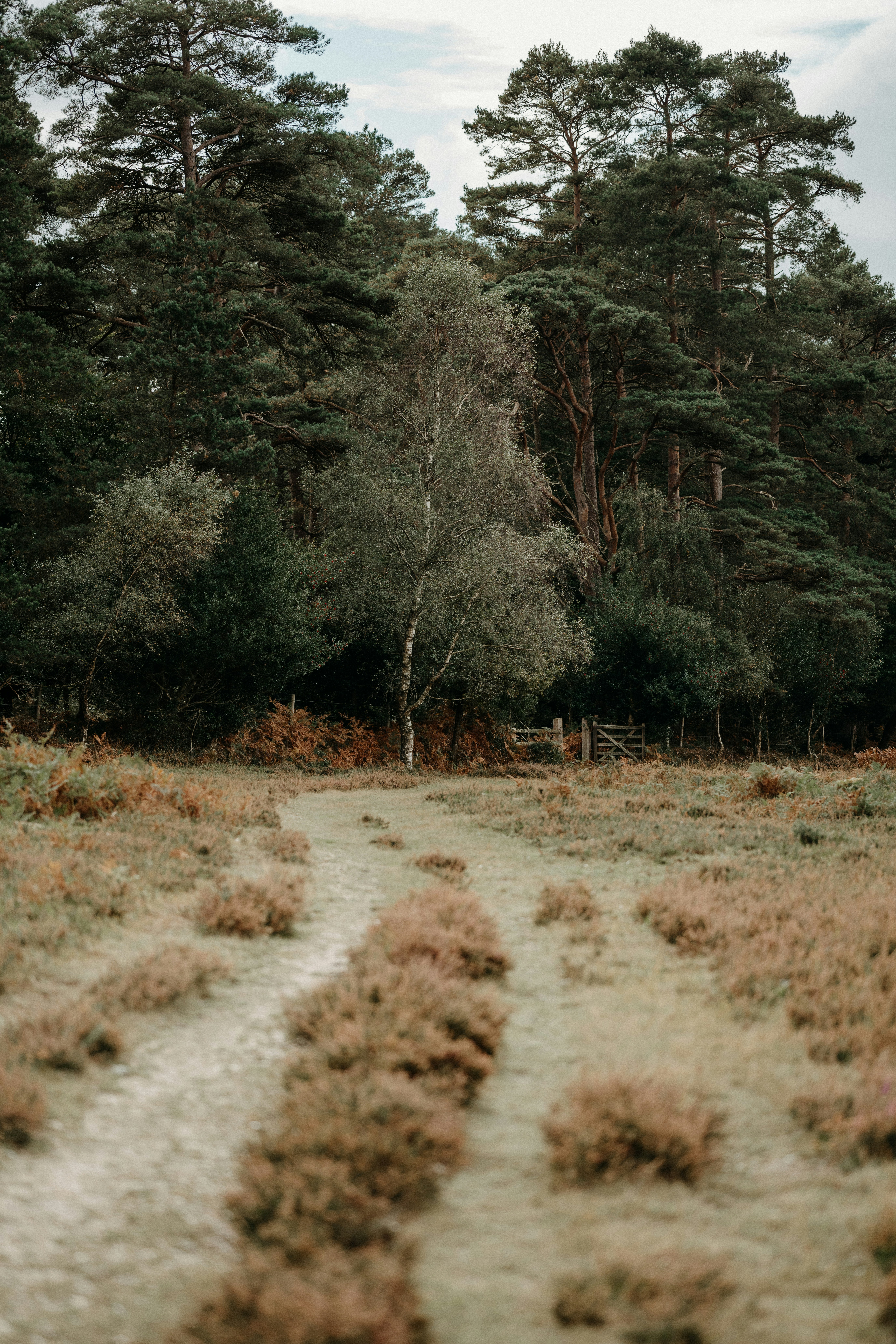 Photo by anniespratt