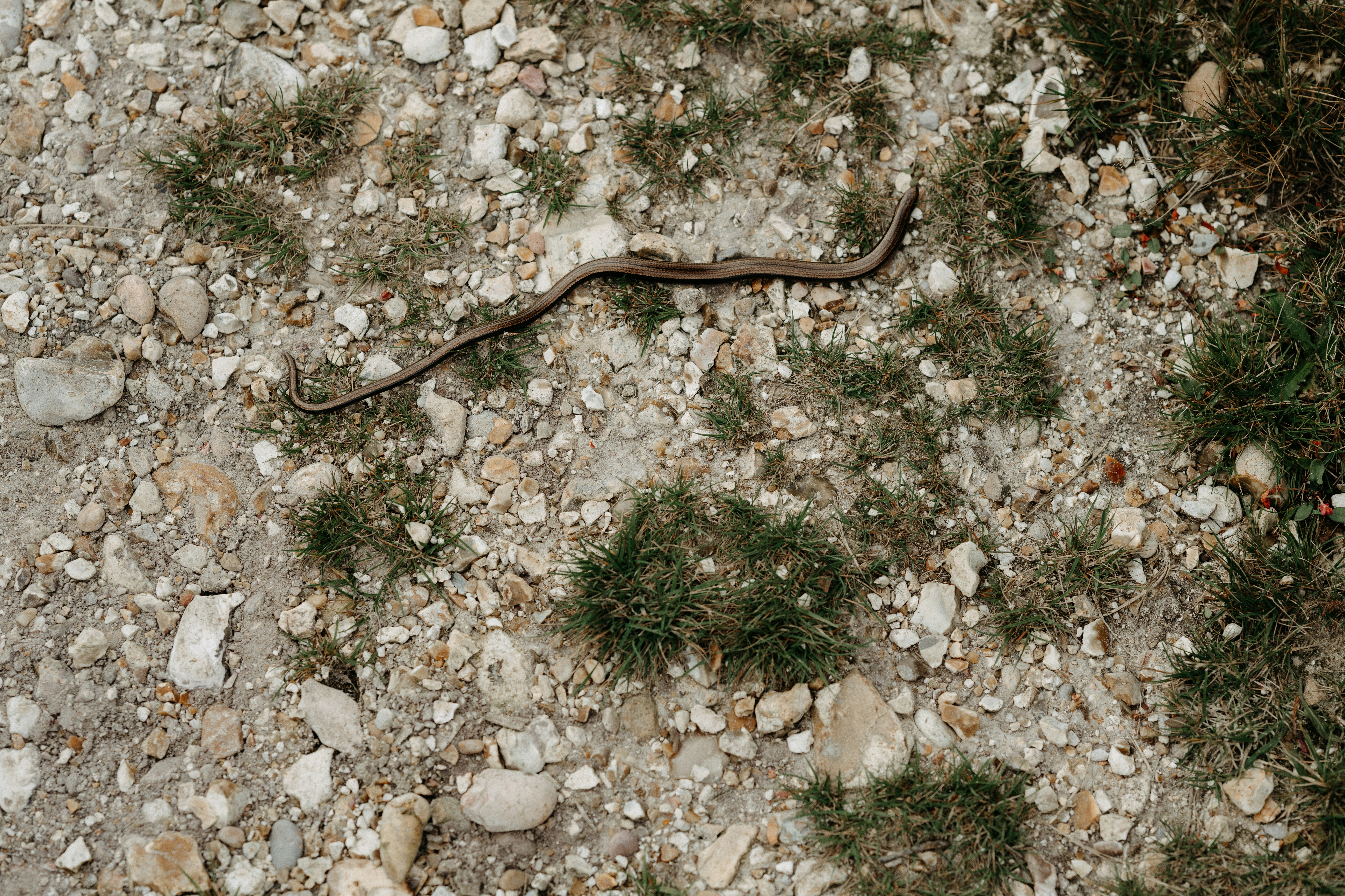 Photo by anniespratt