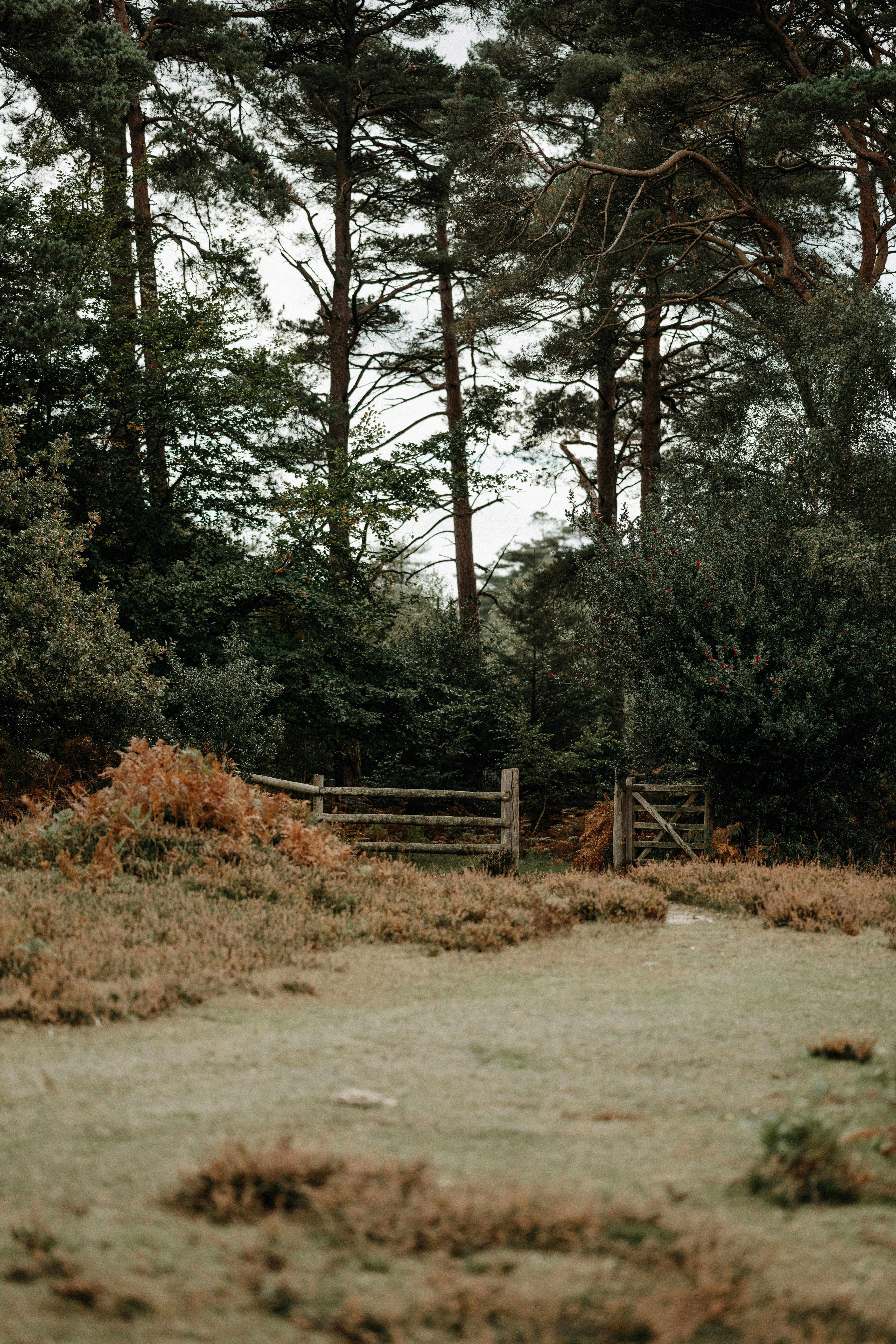 Photo by anniespratt