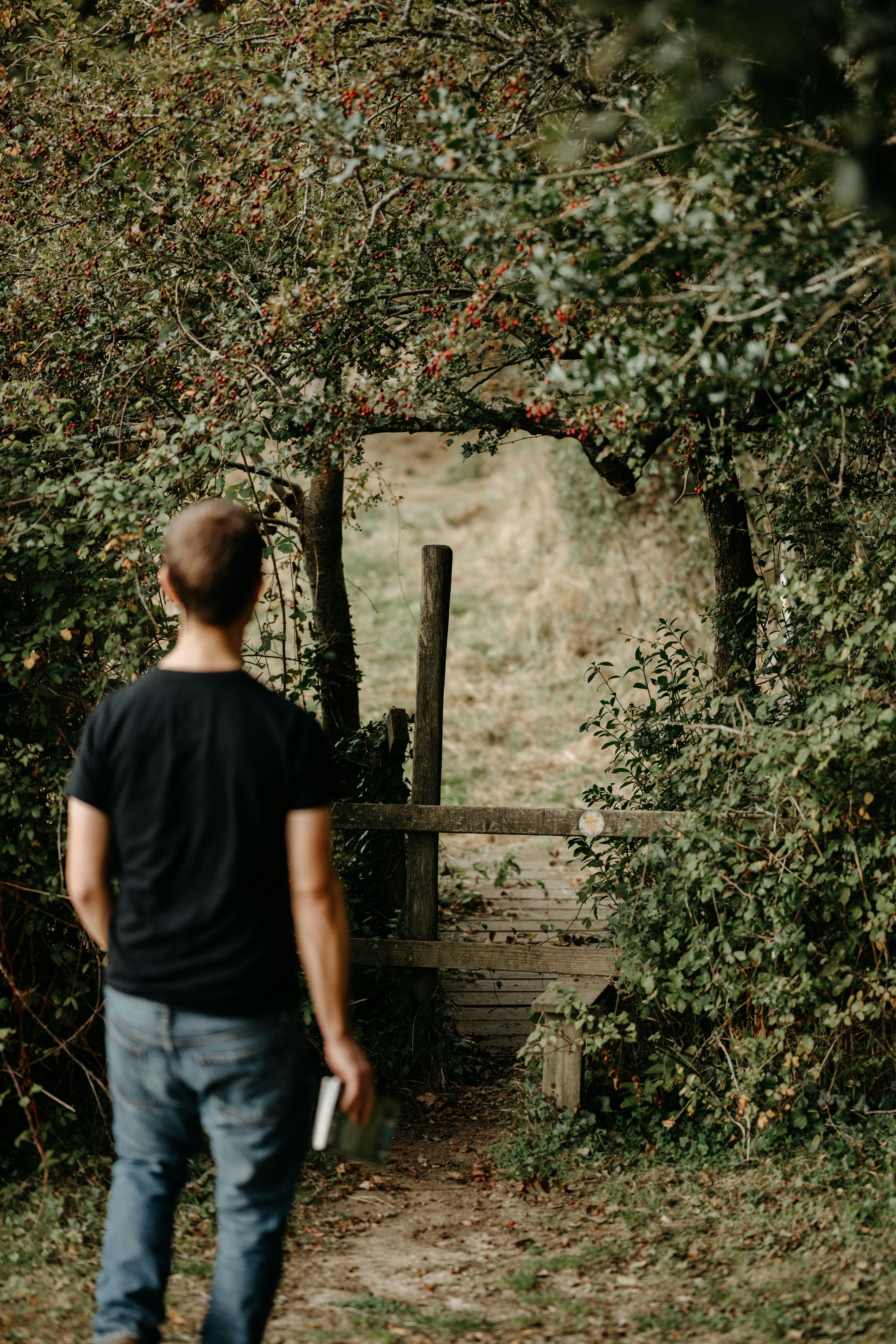 Photo by anniespratt