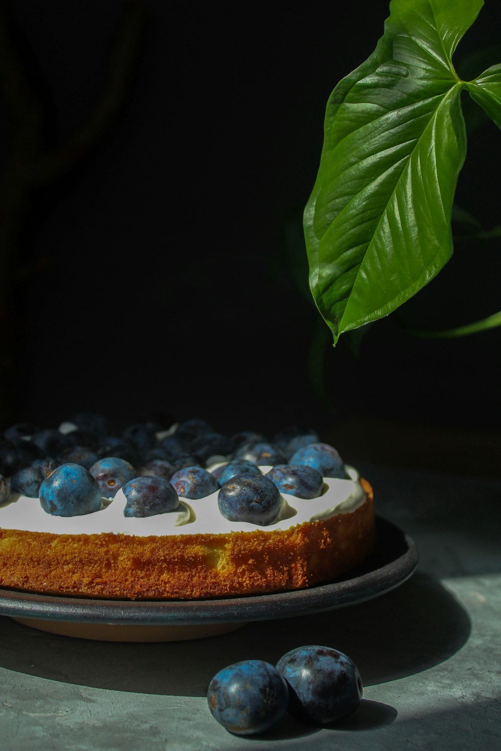 a cake on a plate with blueberries on it