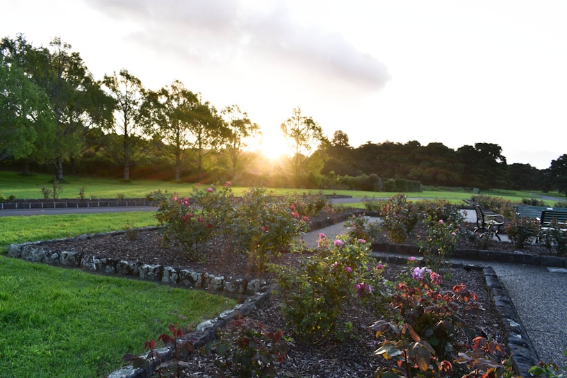 A landscaped garden with flower beds and colorful blooms, bordered by stone edging and winding pathways. The sun is setting in the background, casting a warm glow over the area. Trees with lush foliage line the perimeter, adding to the serene and natural atmosphere.