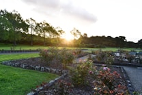 A landscaped garden with flower beds and colorful blooms, bordered by stone edging and winding pathways. The sun is setting in the background, casting a warm glow over the area. Trees with lush foliage line the perimeter, adding to the serene and natural atmosphere.