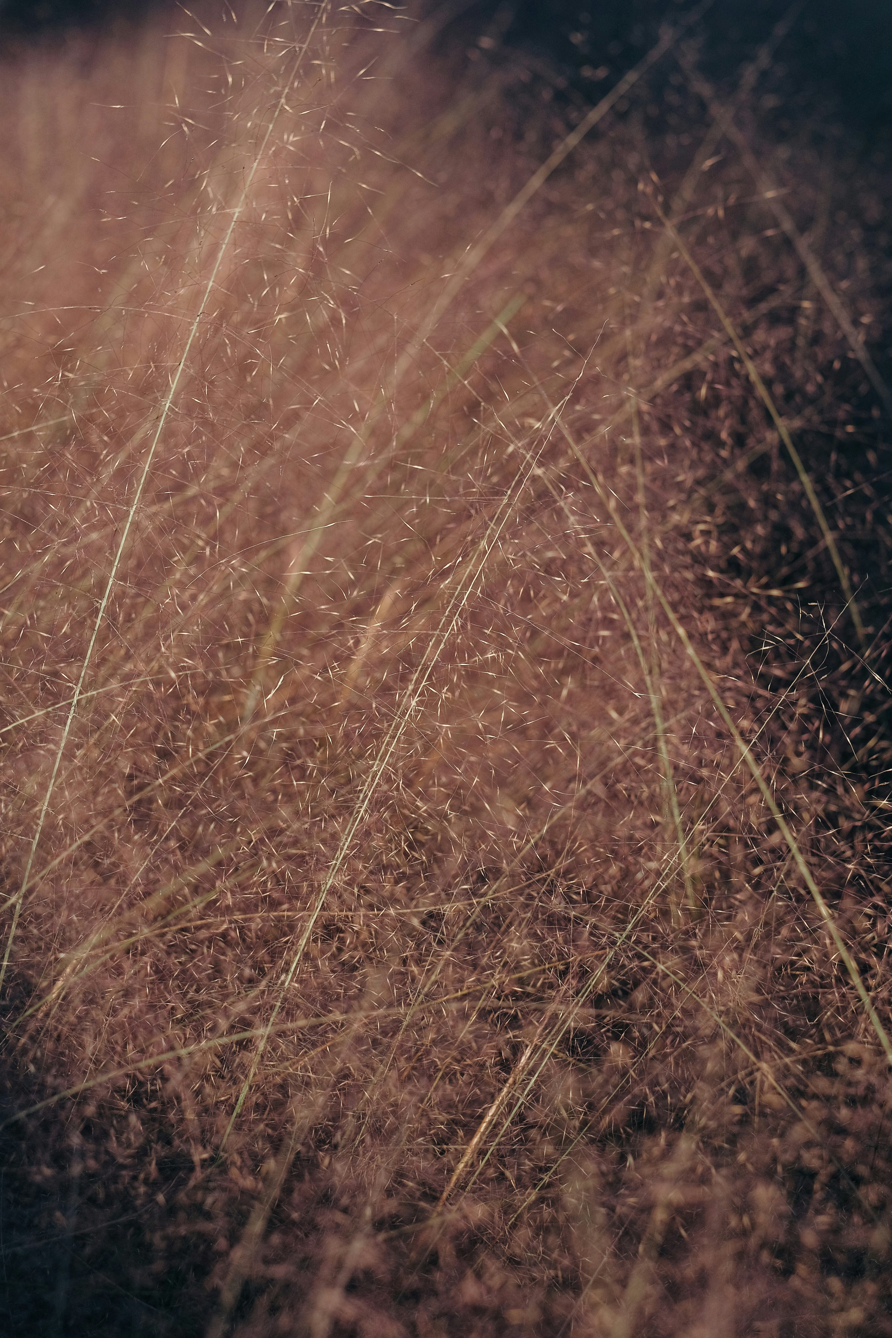 Photo by insungpandora