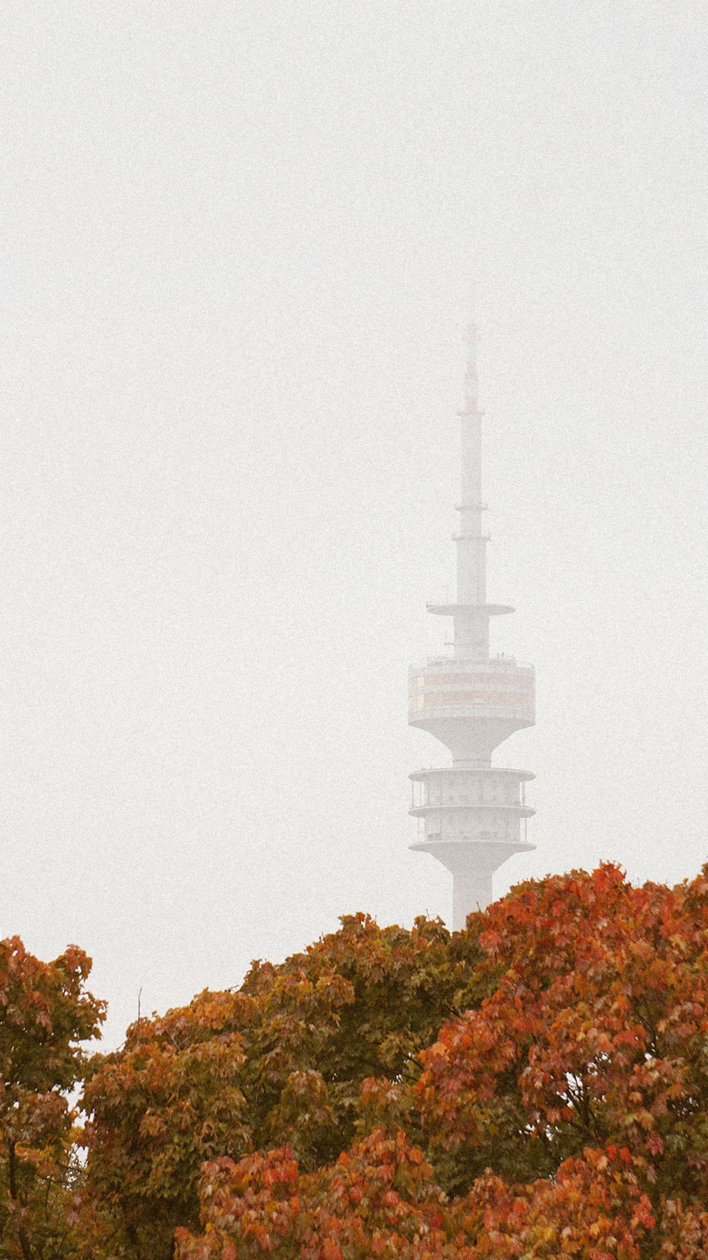 a tall clock tower towering over a forest of trees