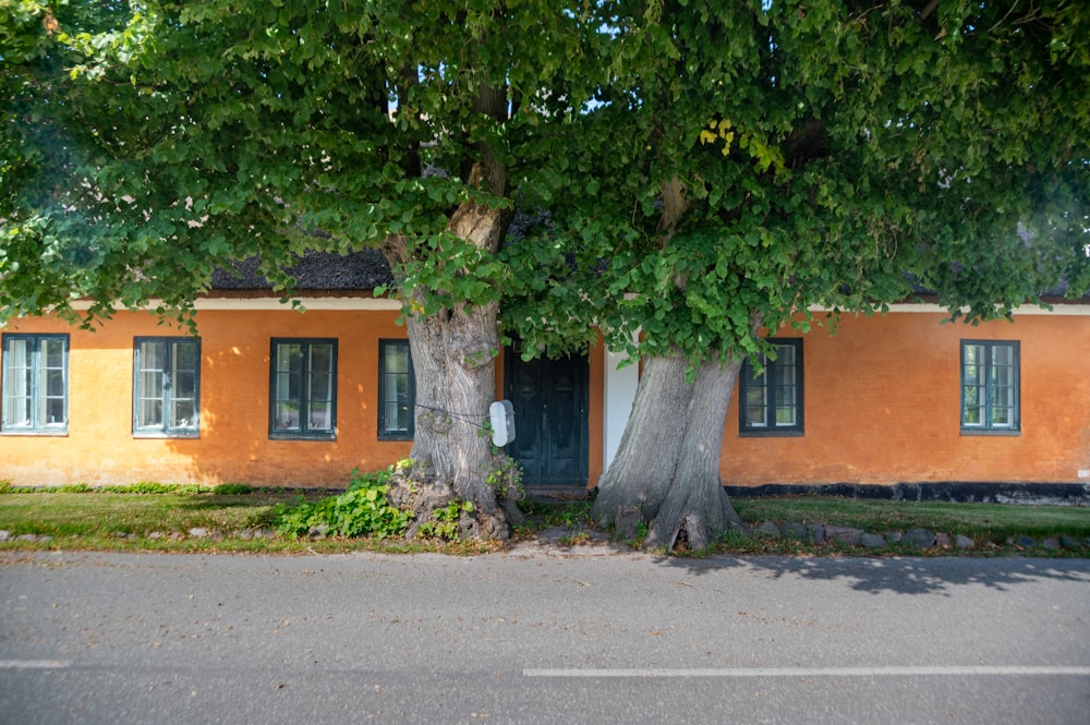 a house with a tree in front of it