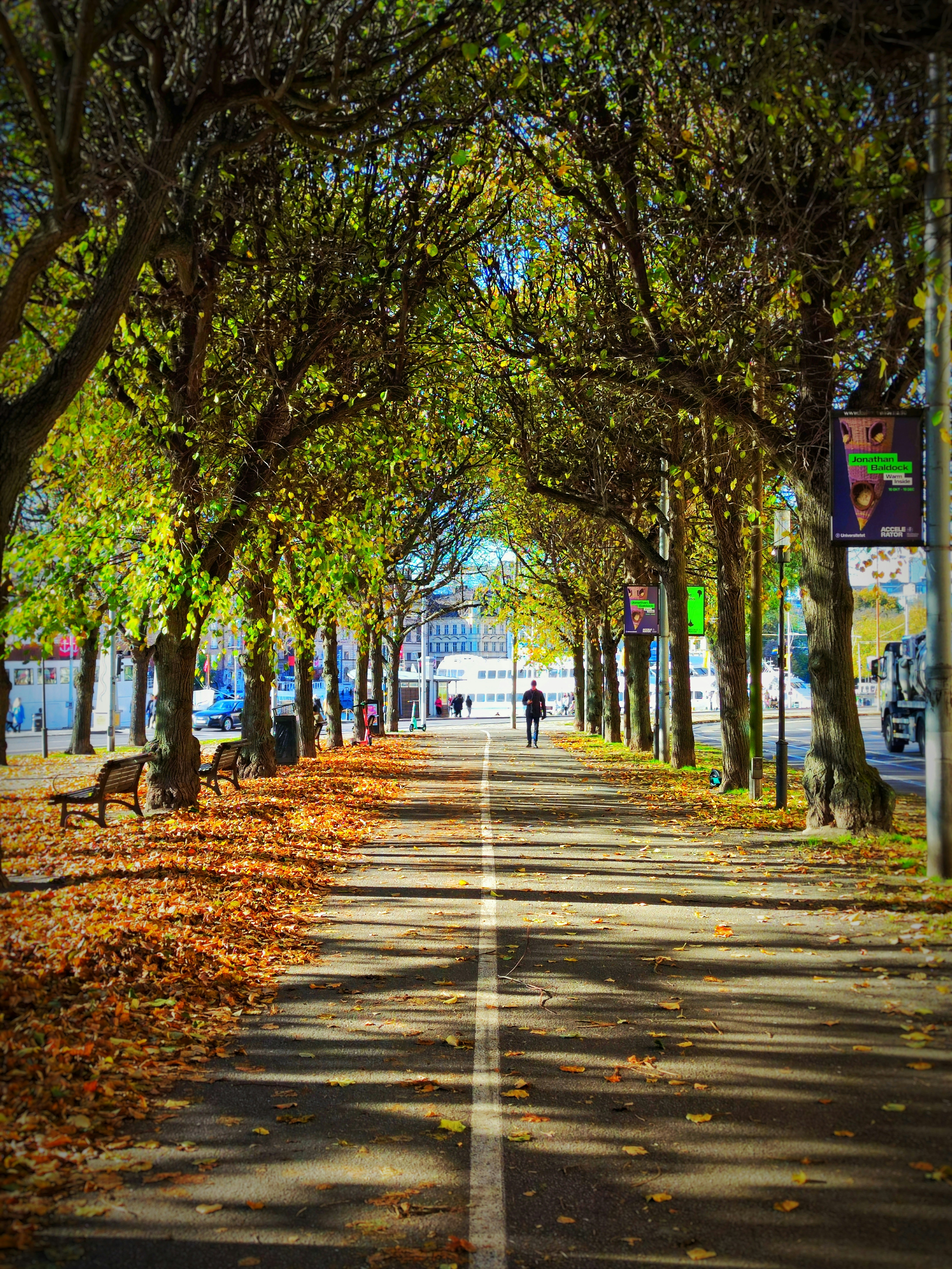 a tree lined street with people walking down it
