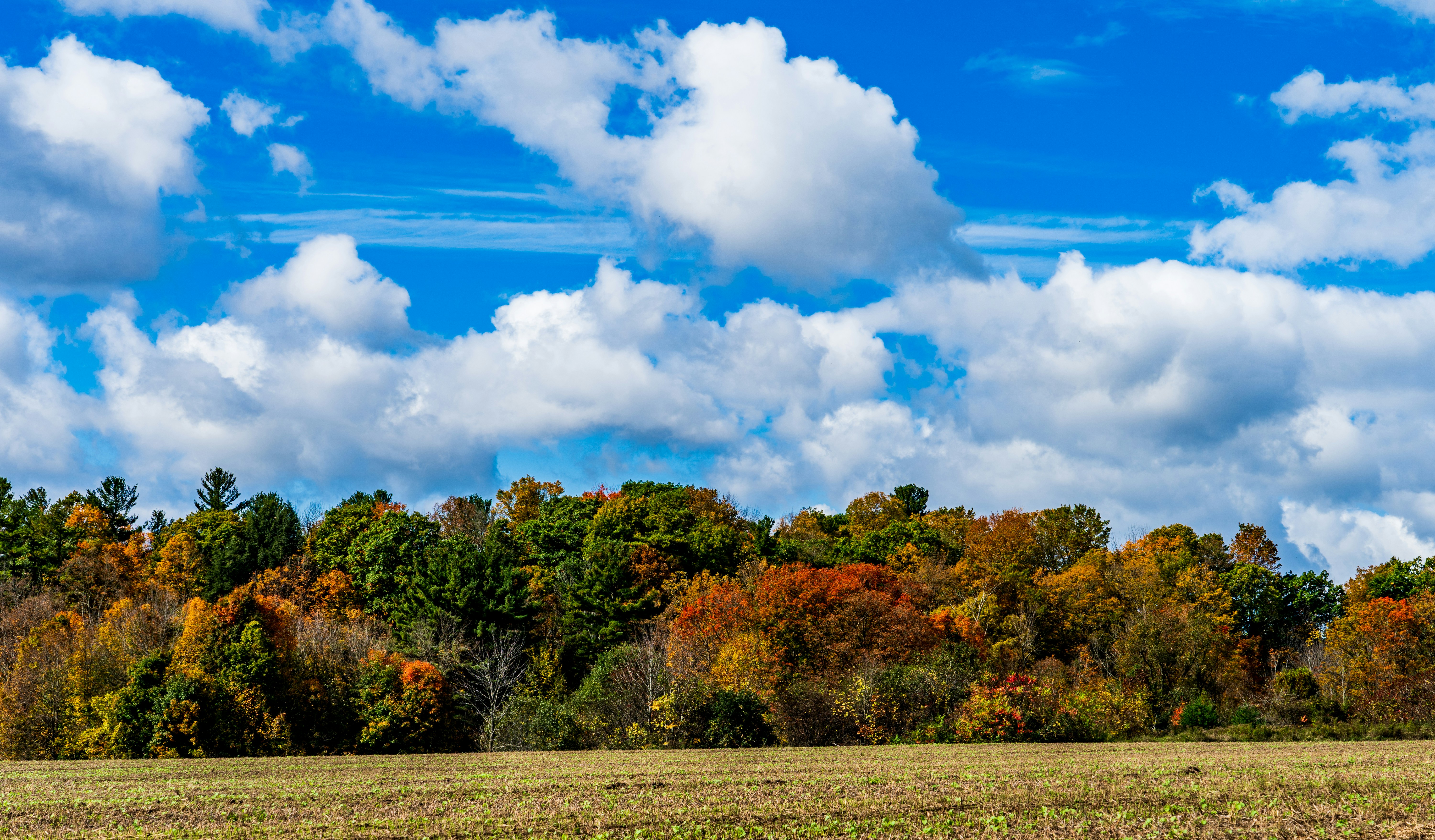 Photo by chris_robert