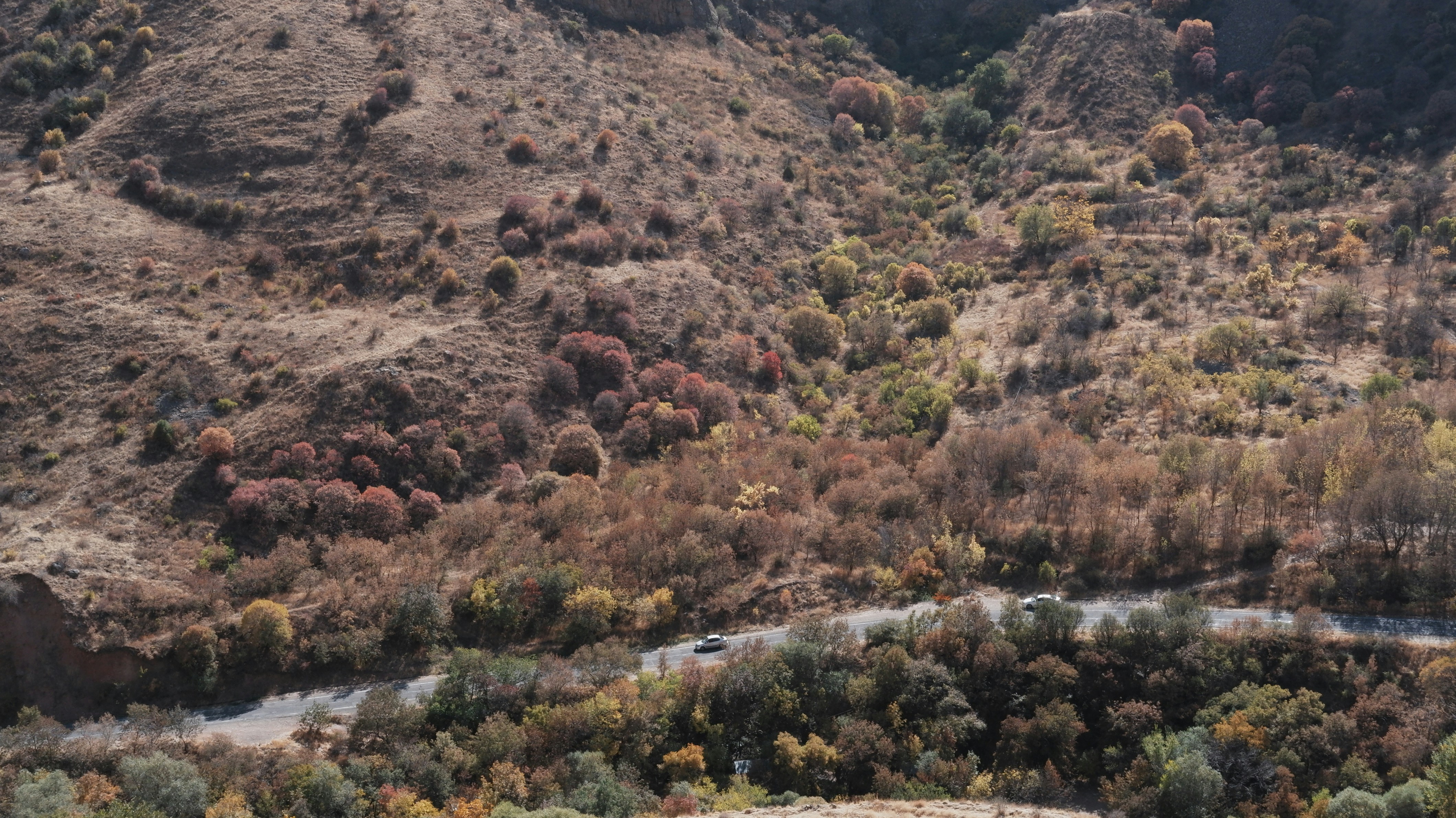 Photo by mary_borysova