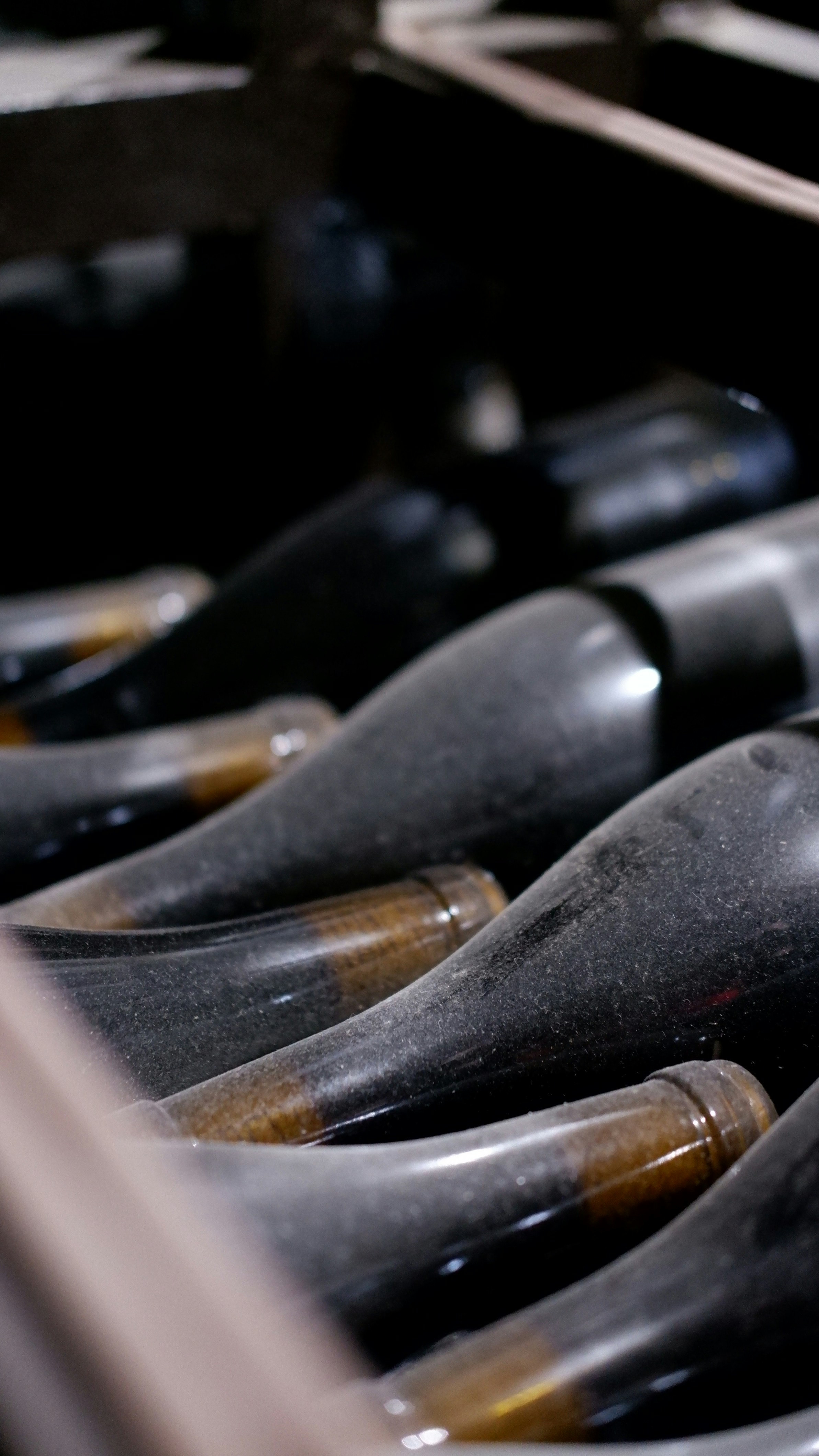 Photo by mary_borysova