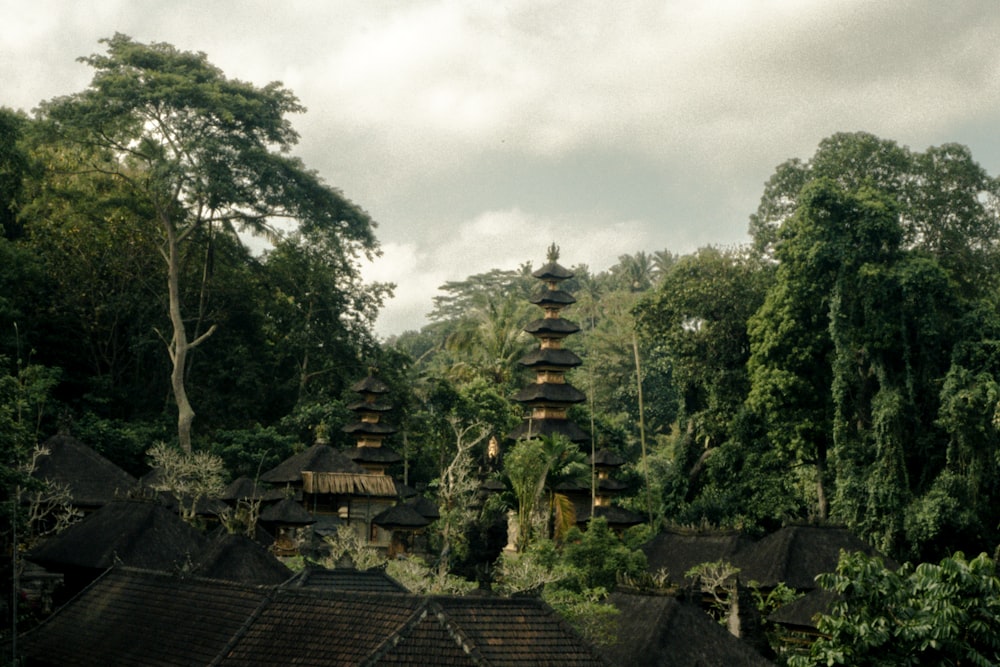 a group of houses in the middle of a forest