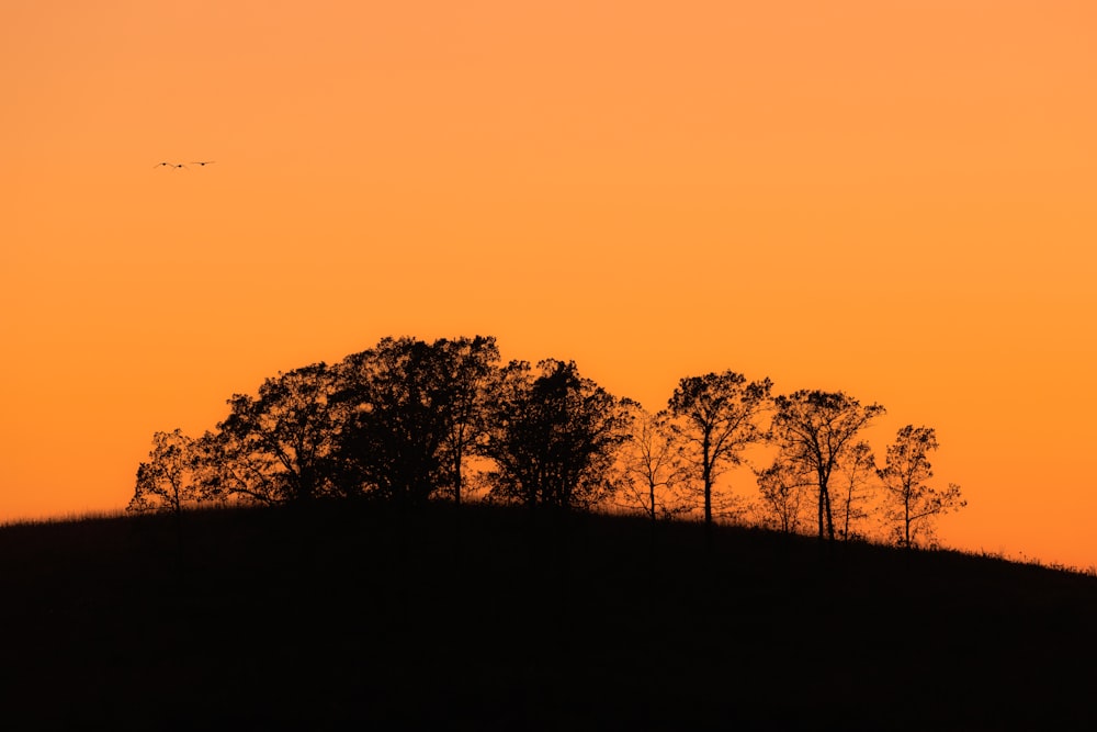 a silhouette of trees on a hill at sunset
