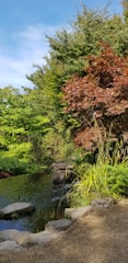 A serene backyard garden with a small water feature and stone pathway.